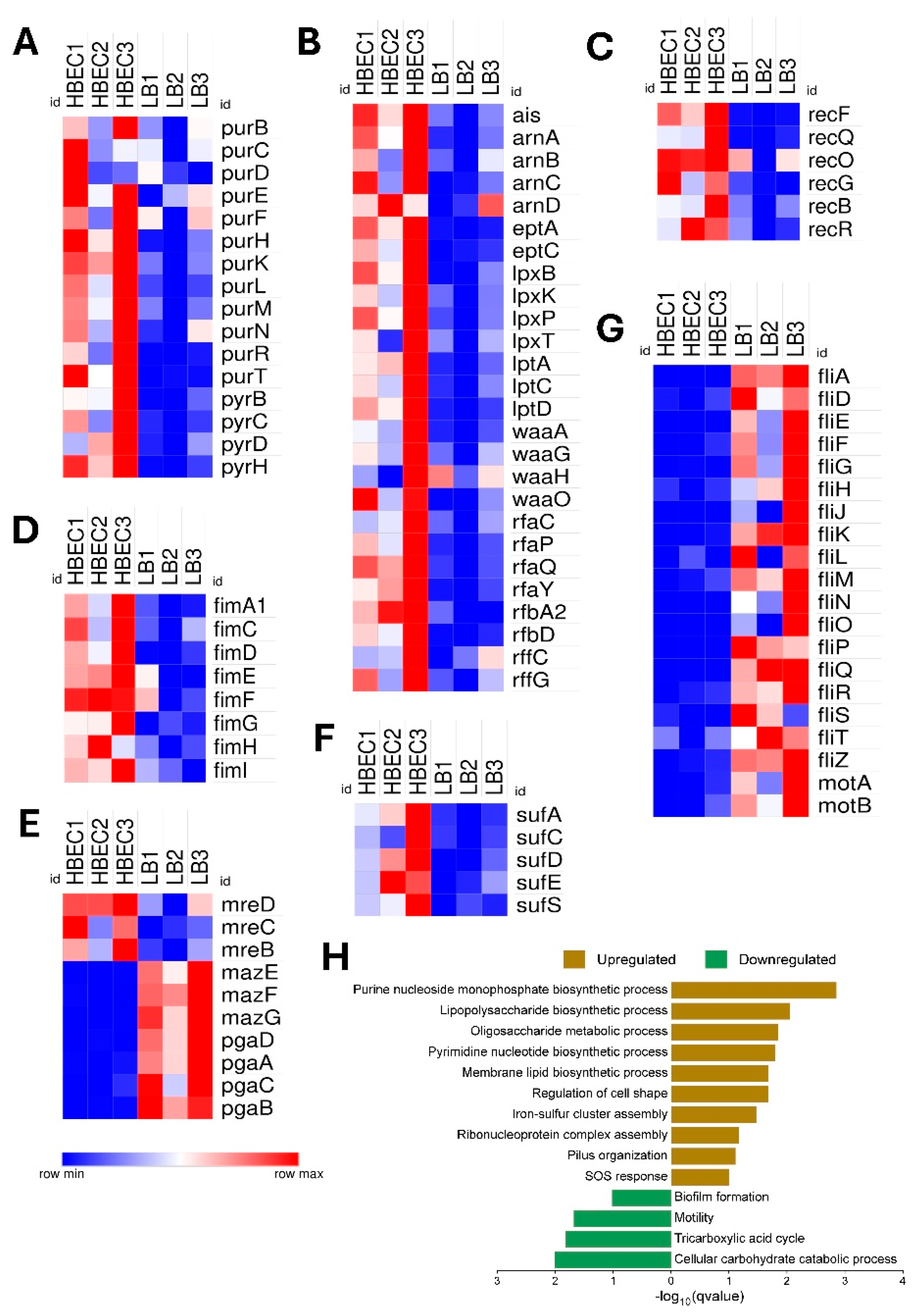 Preprints 155669 g005