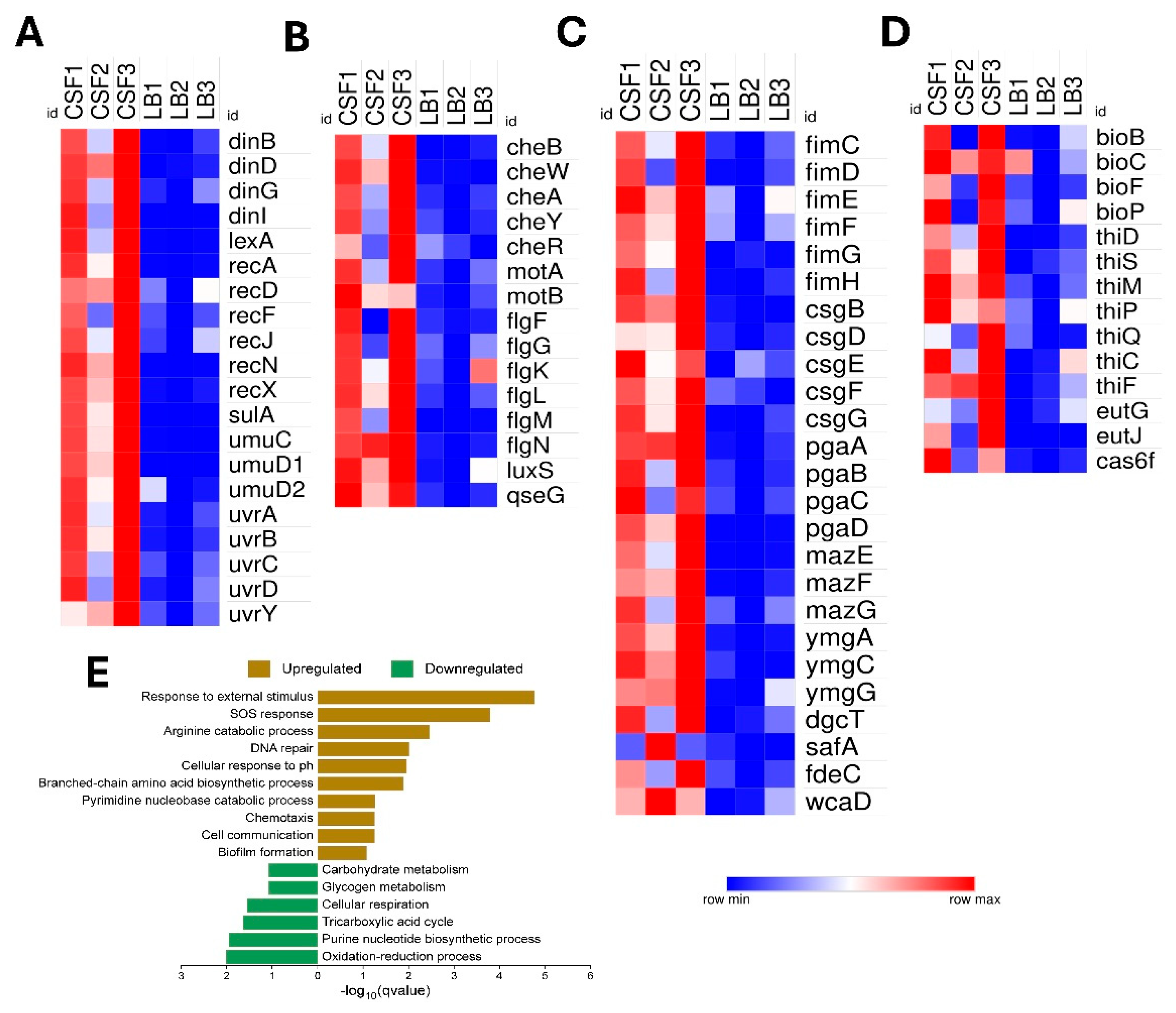 Preprints 155669 g006