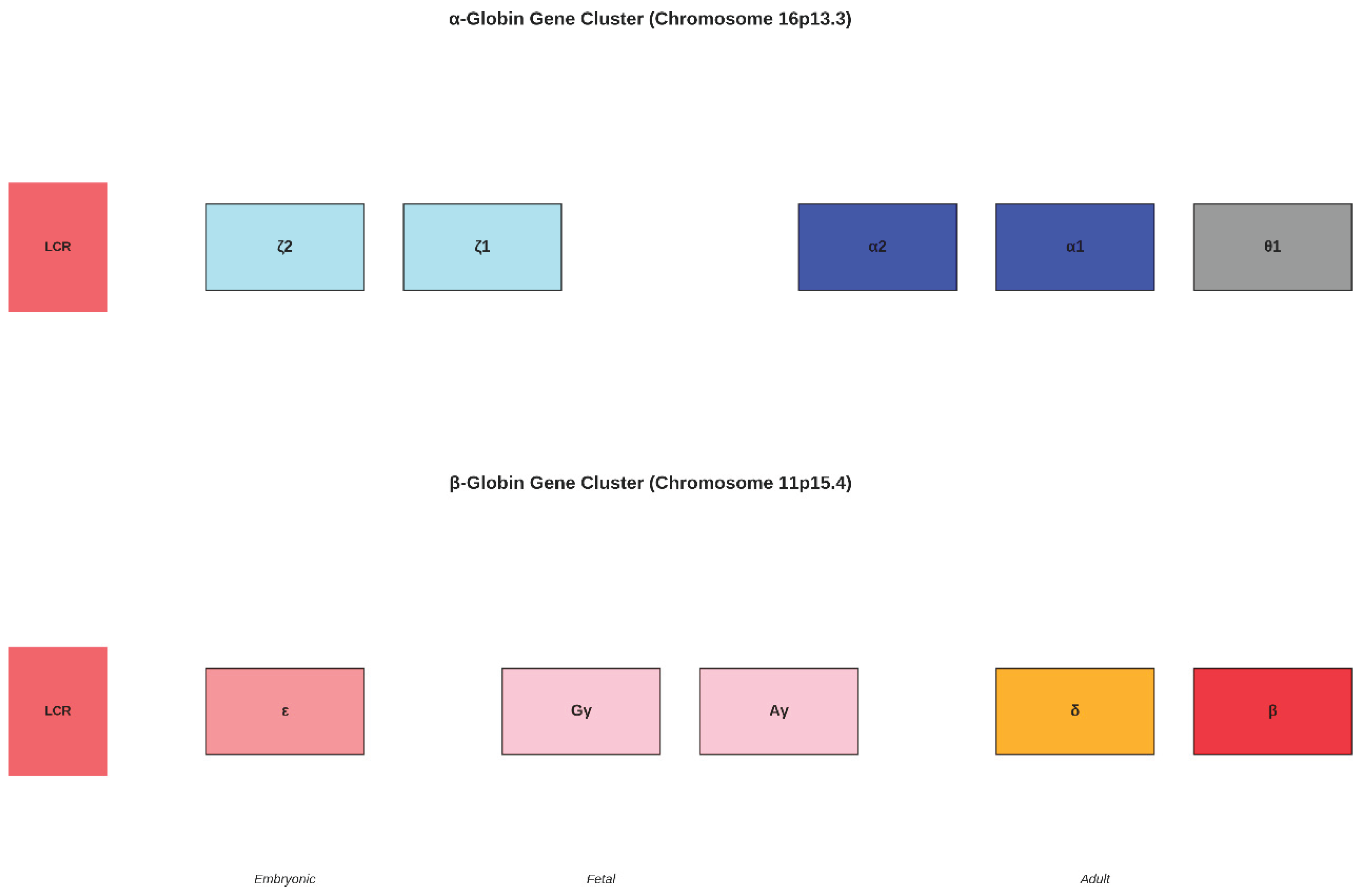 Preprints 167374 g005