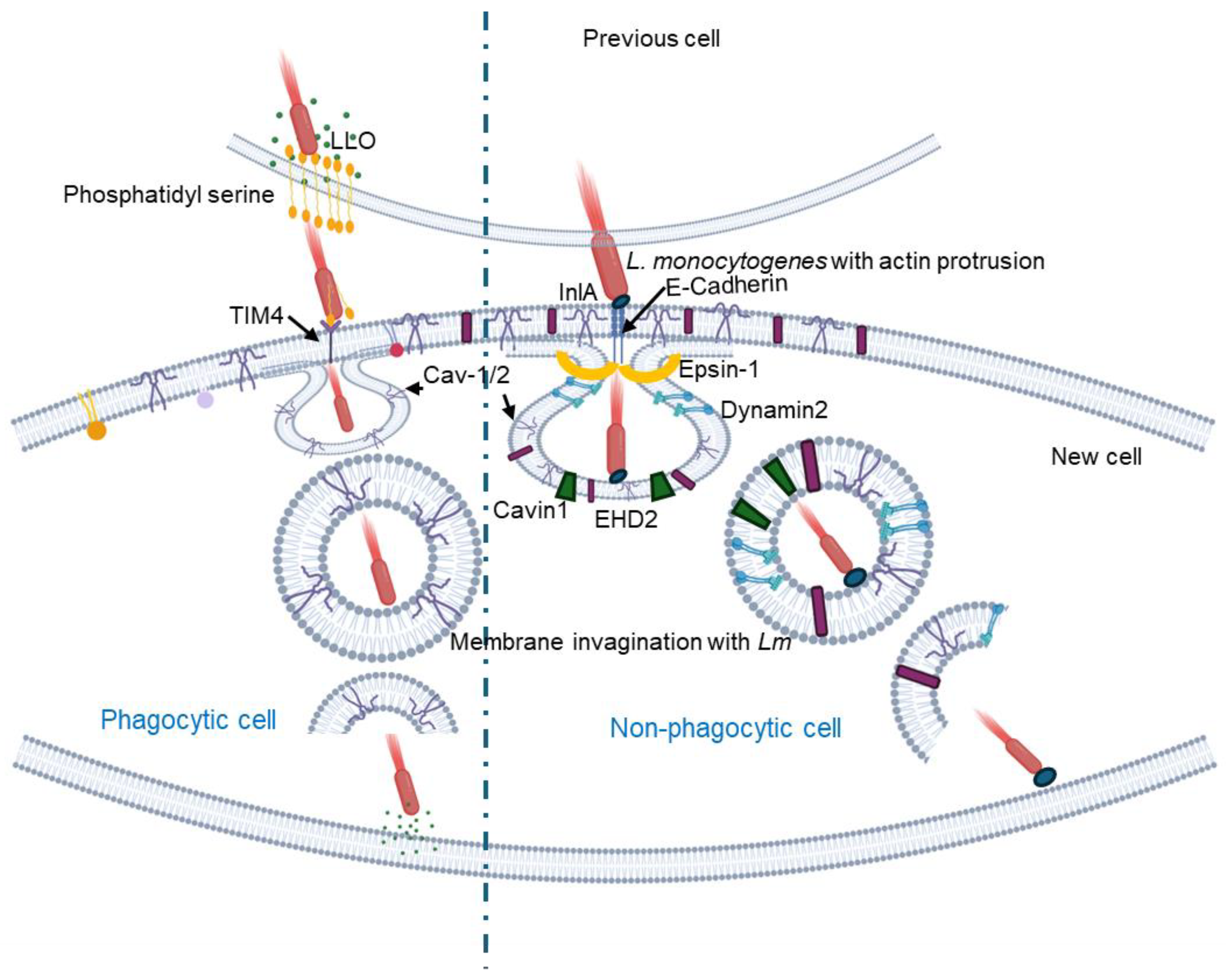 Preprints 140411 g003