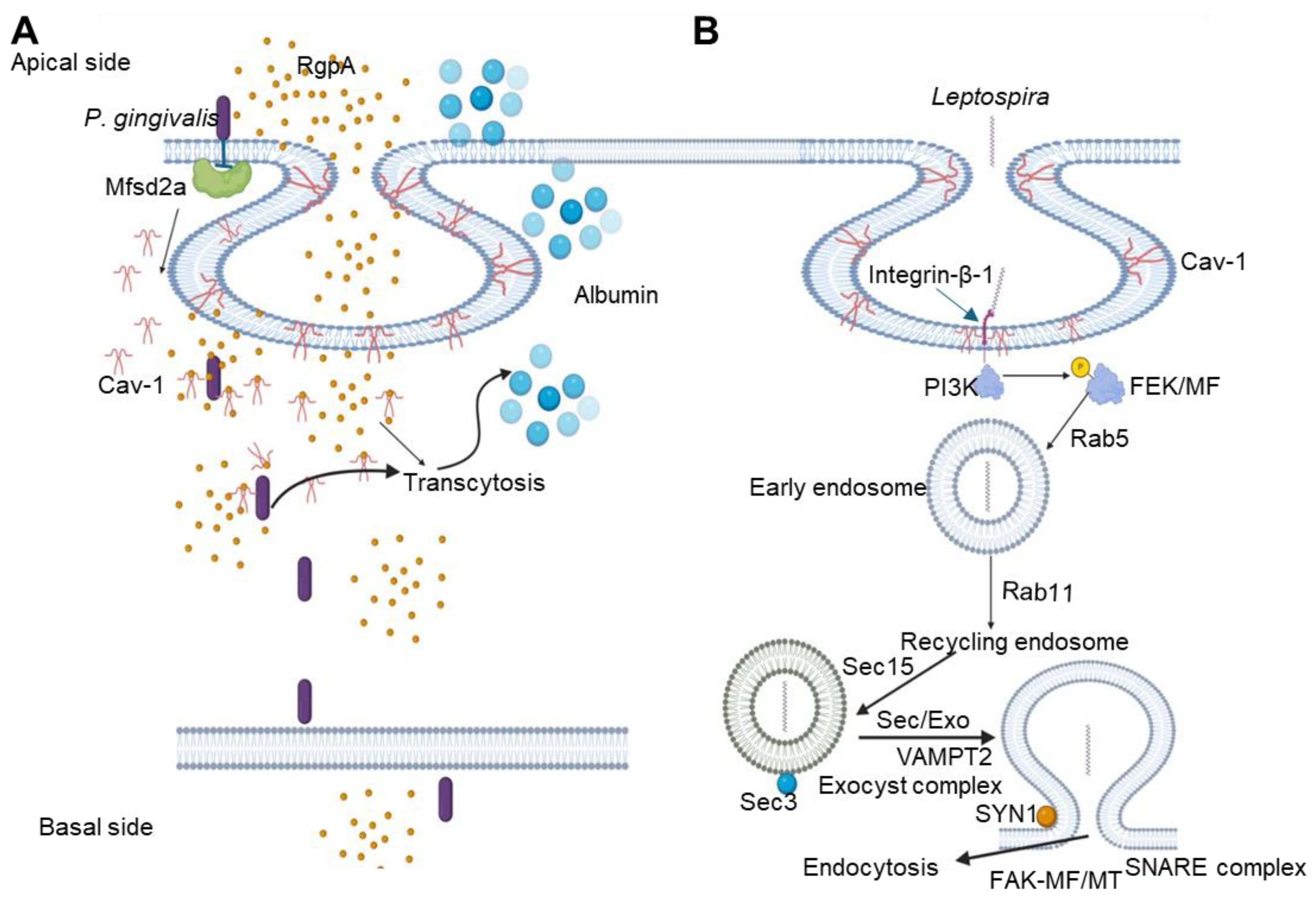Preprints 140411 g004