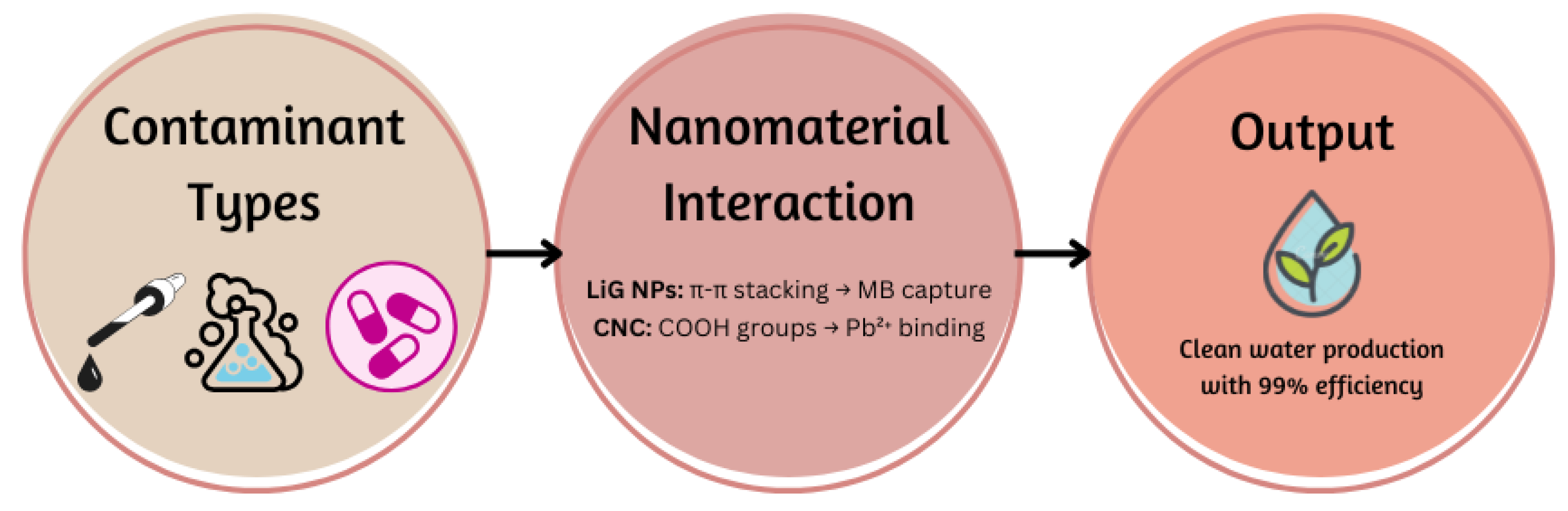 Preprints 161530 g001