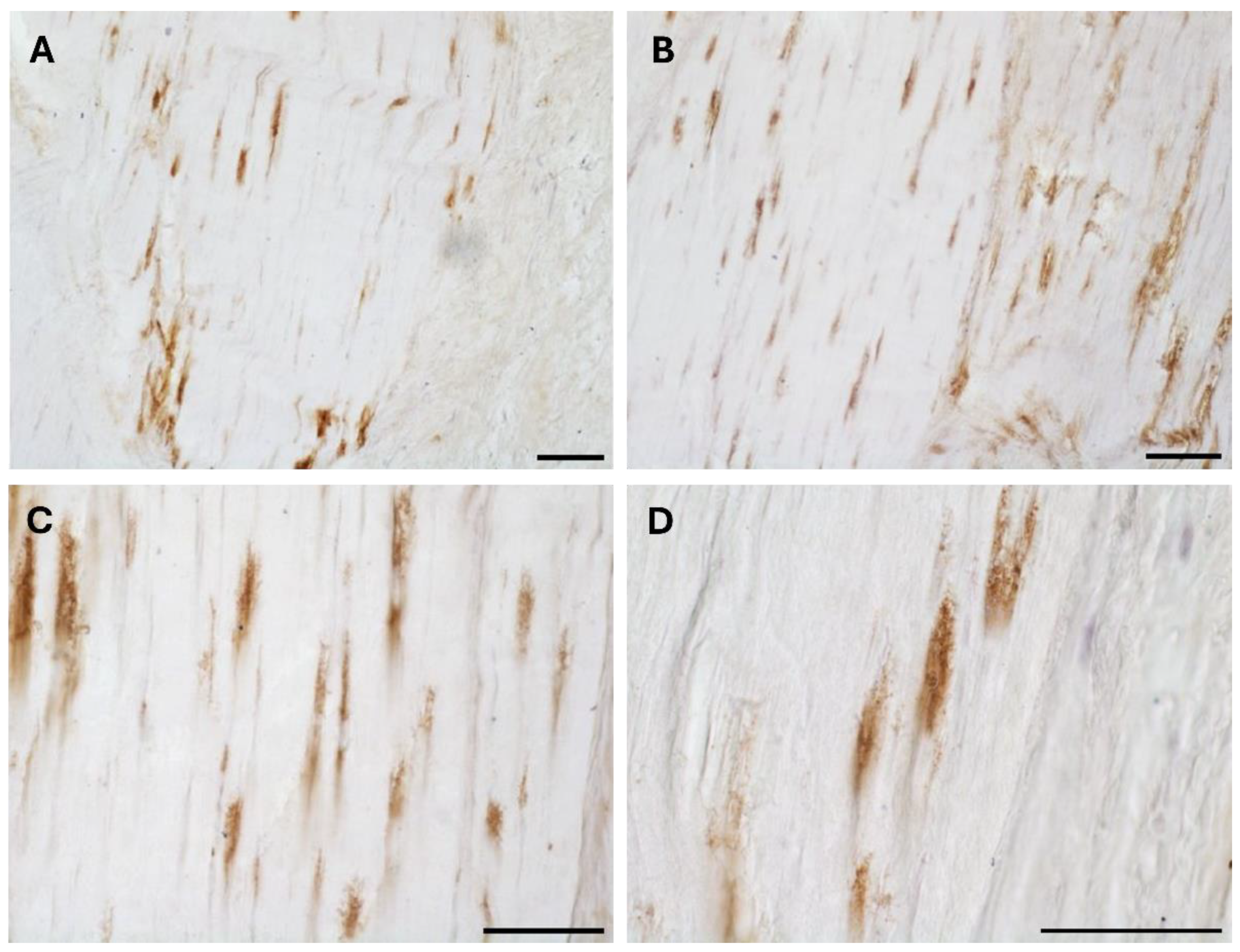 Preprints 160765 g002