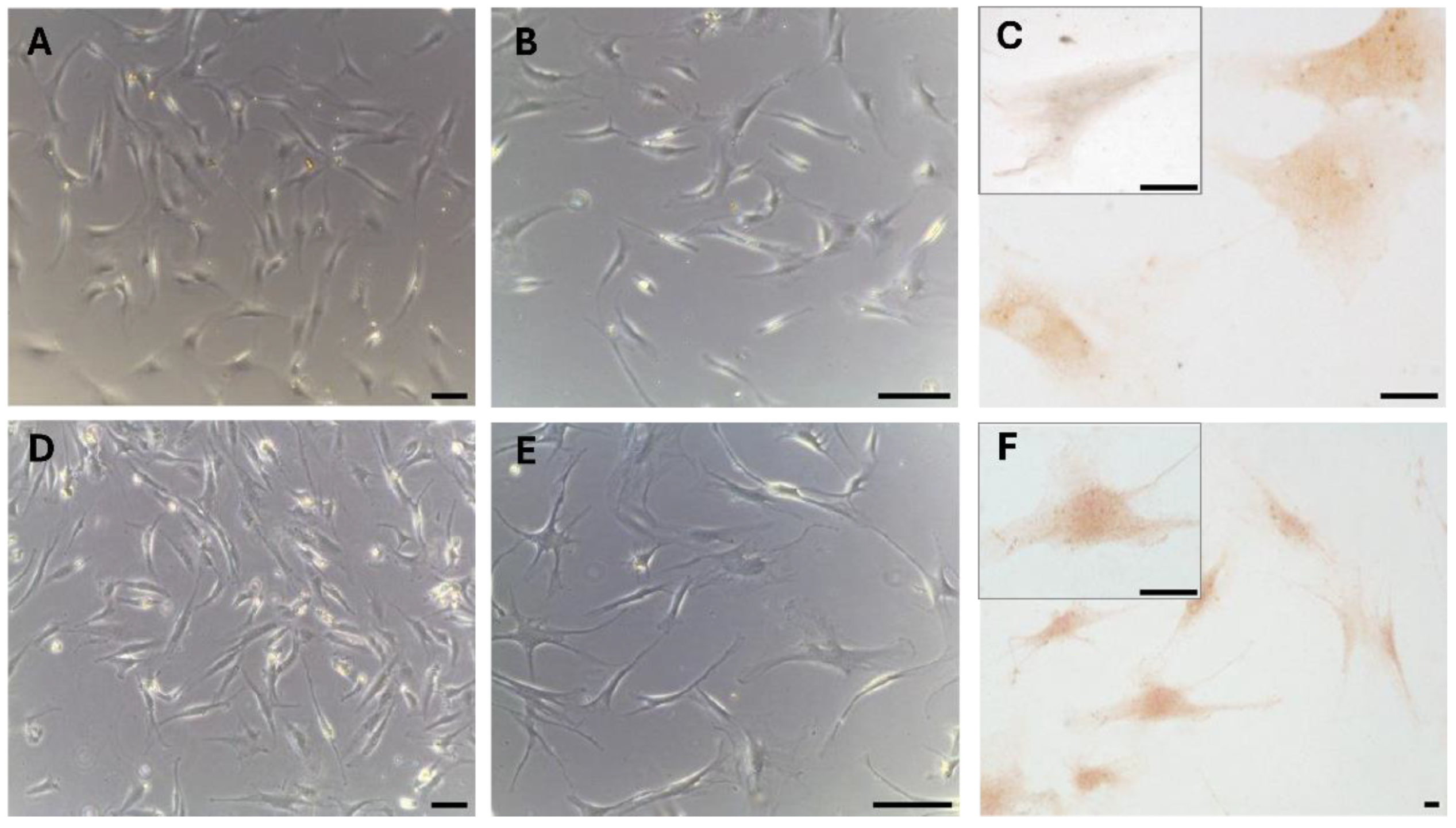 Preprints 160765 g003