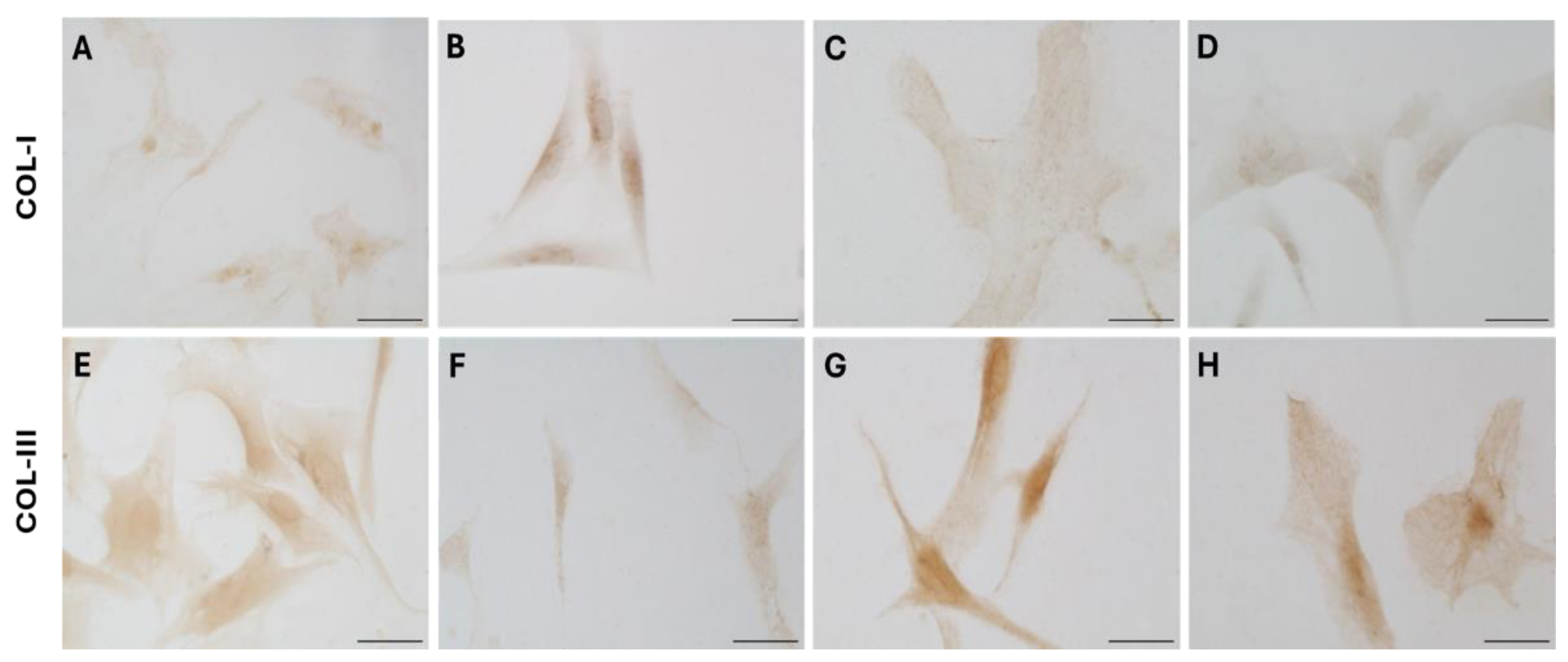 Preprints 160765 g006