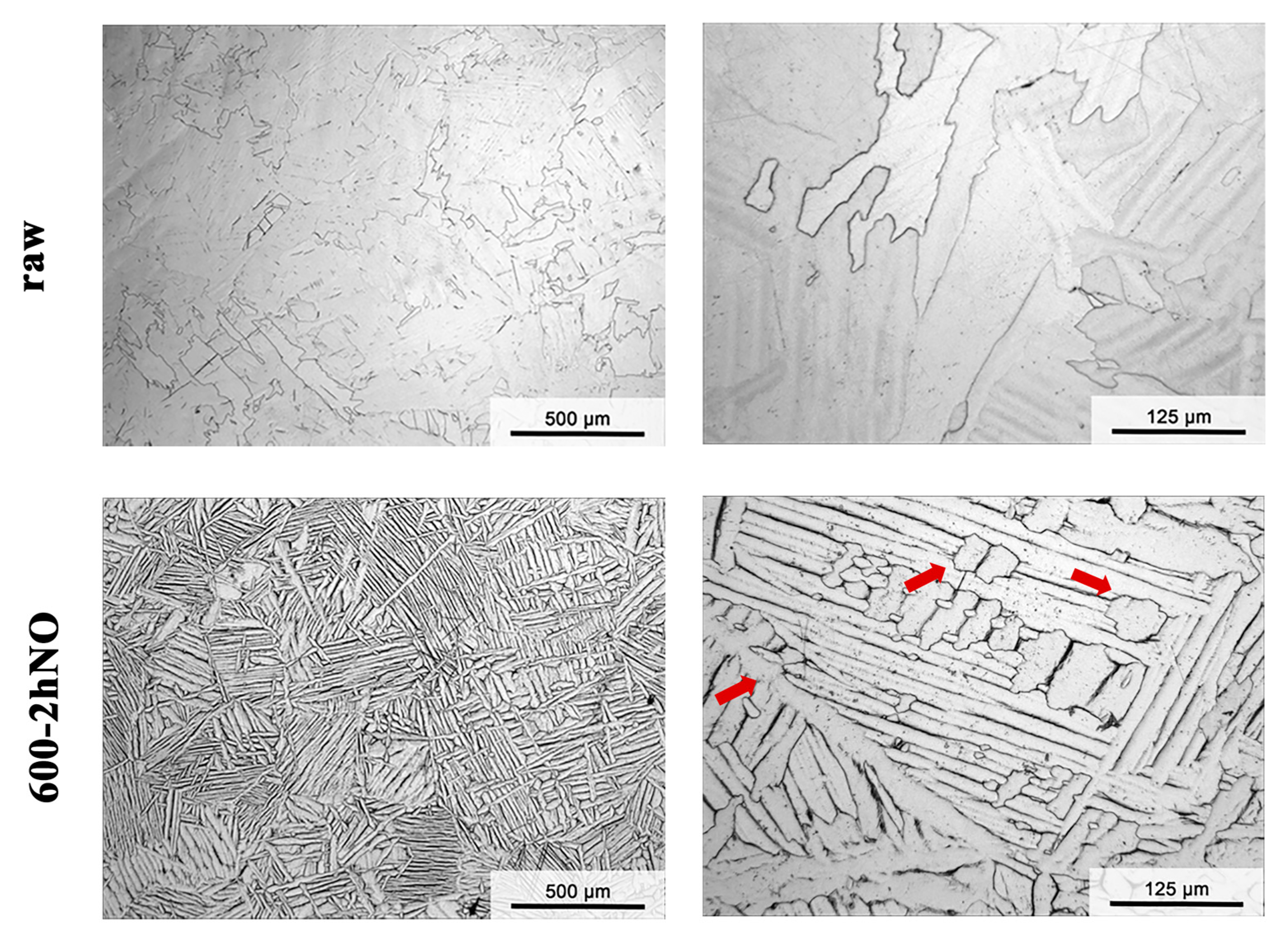 Preprints 156312 g005