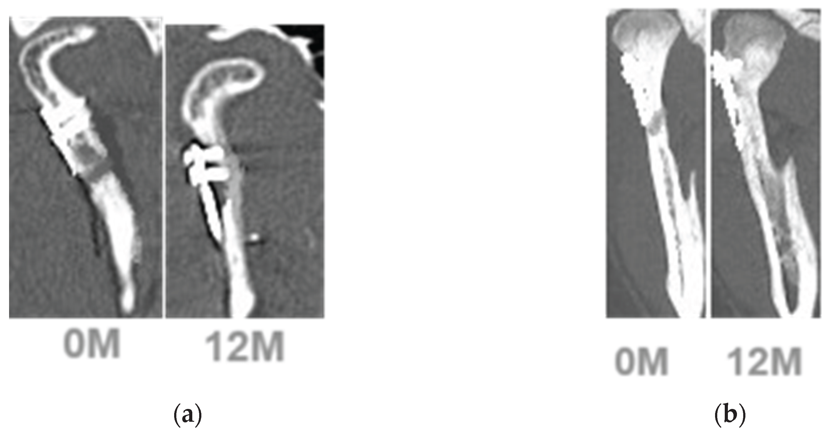 Preprints 160335 g005