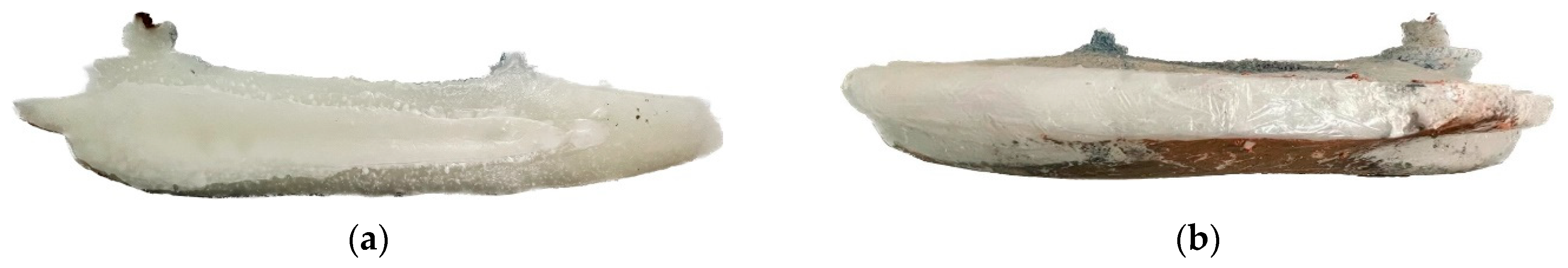 Preprints 89116 g004