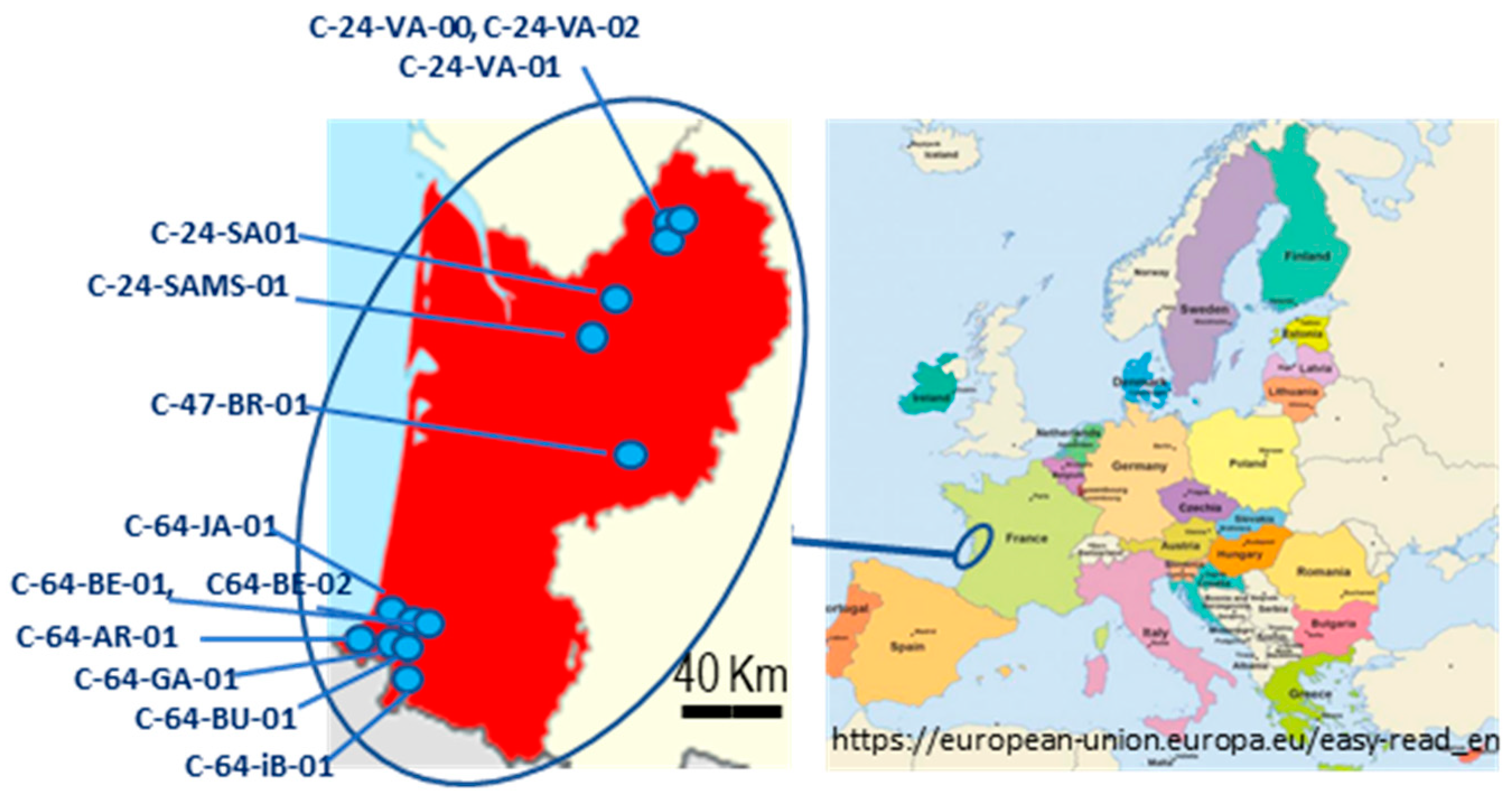 Preprints 156074 g001
