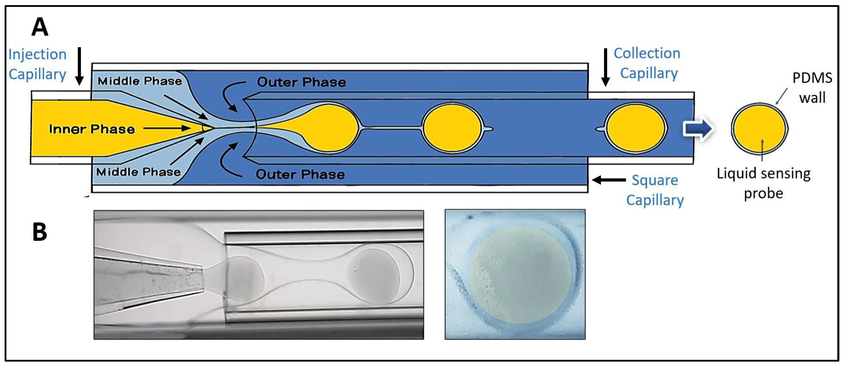 Preprints 151946 g001