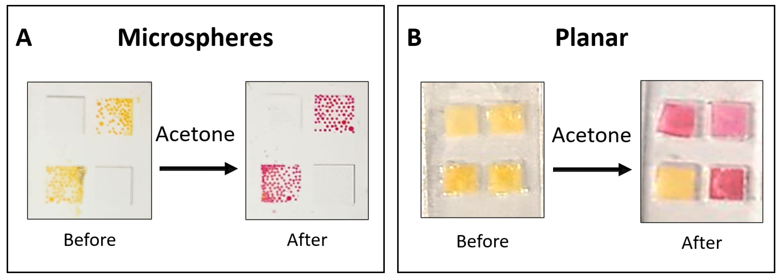 Preprints 151946 g002