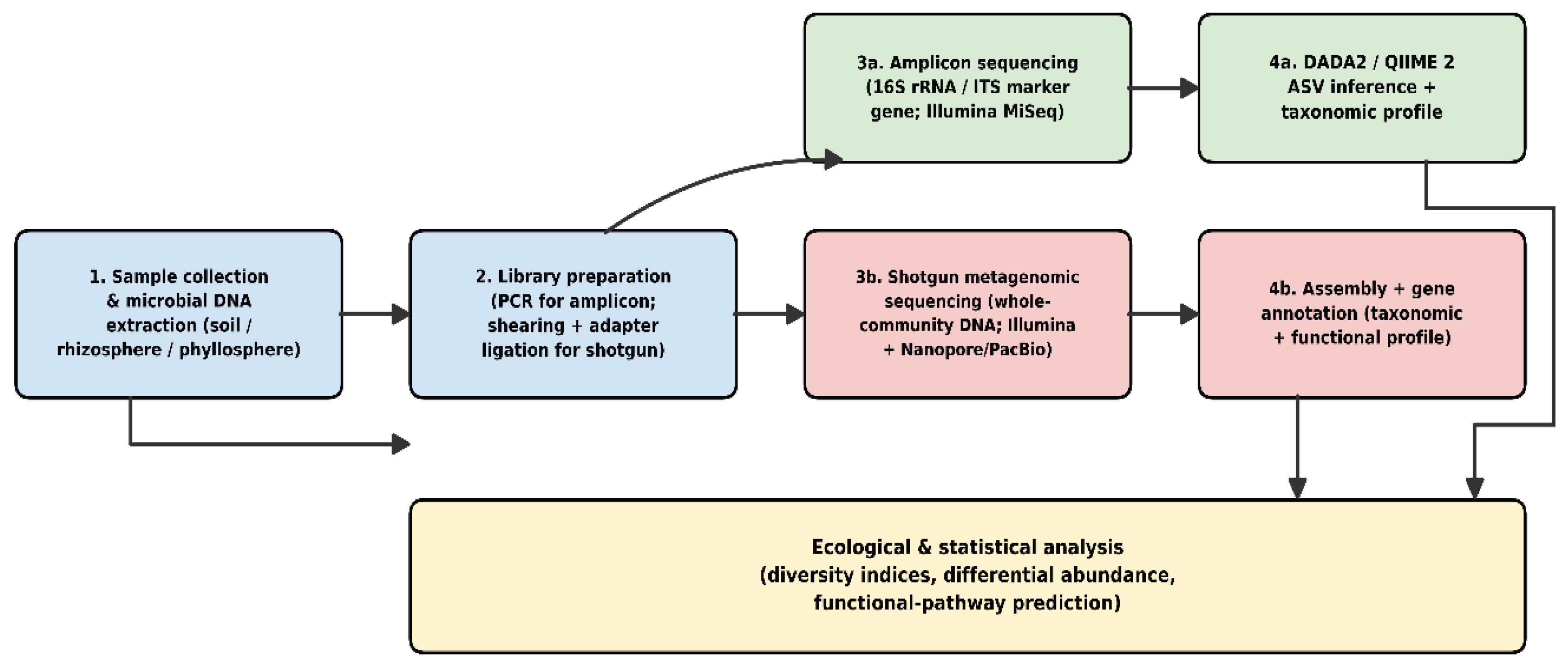 Preprints 234144 g001