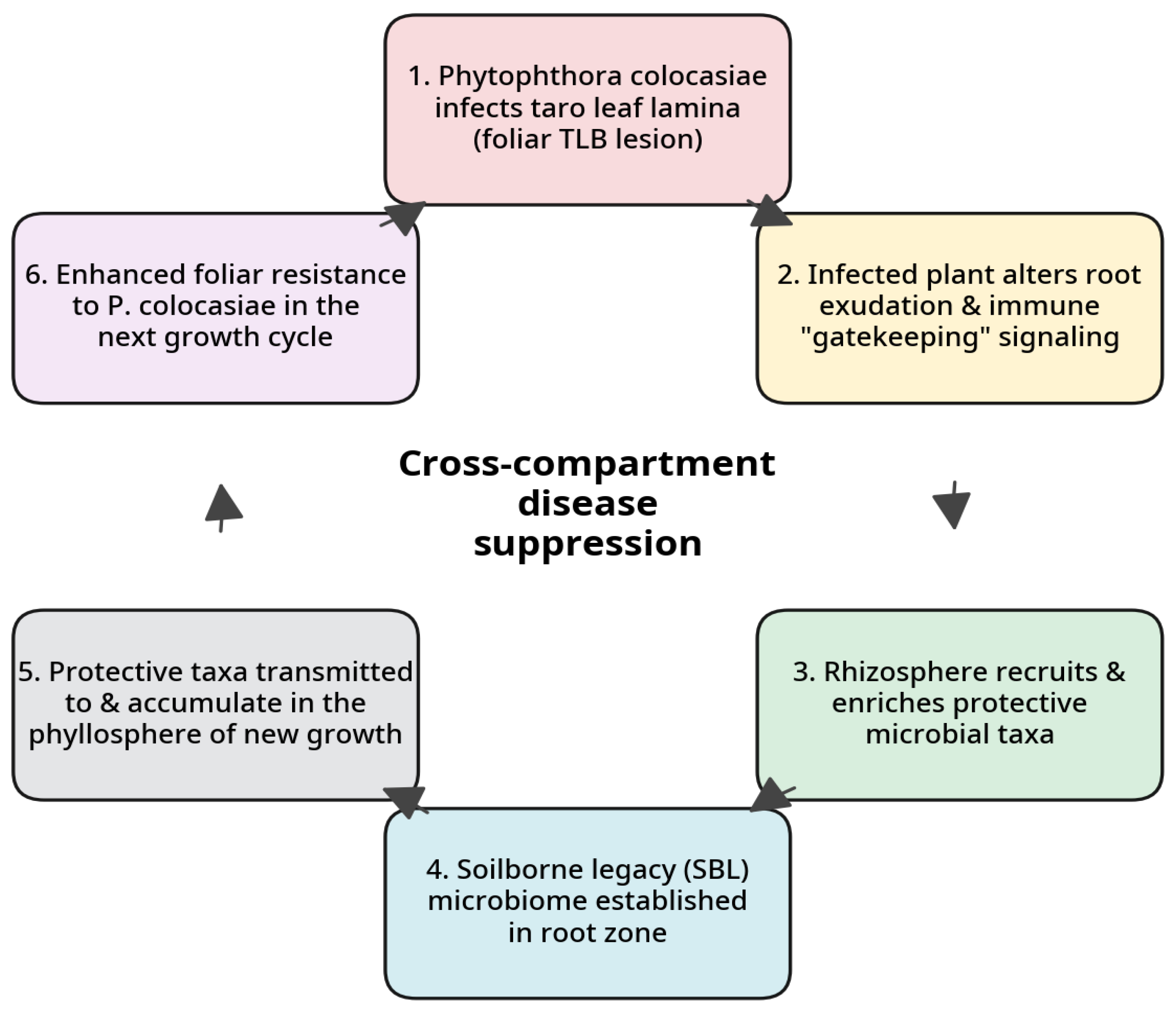 Preprints 234144 g002