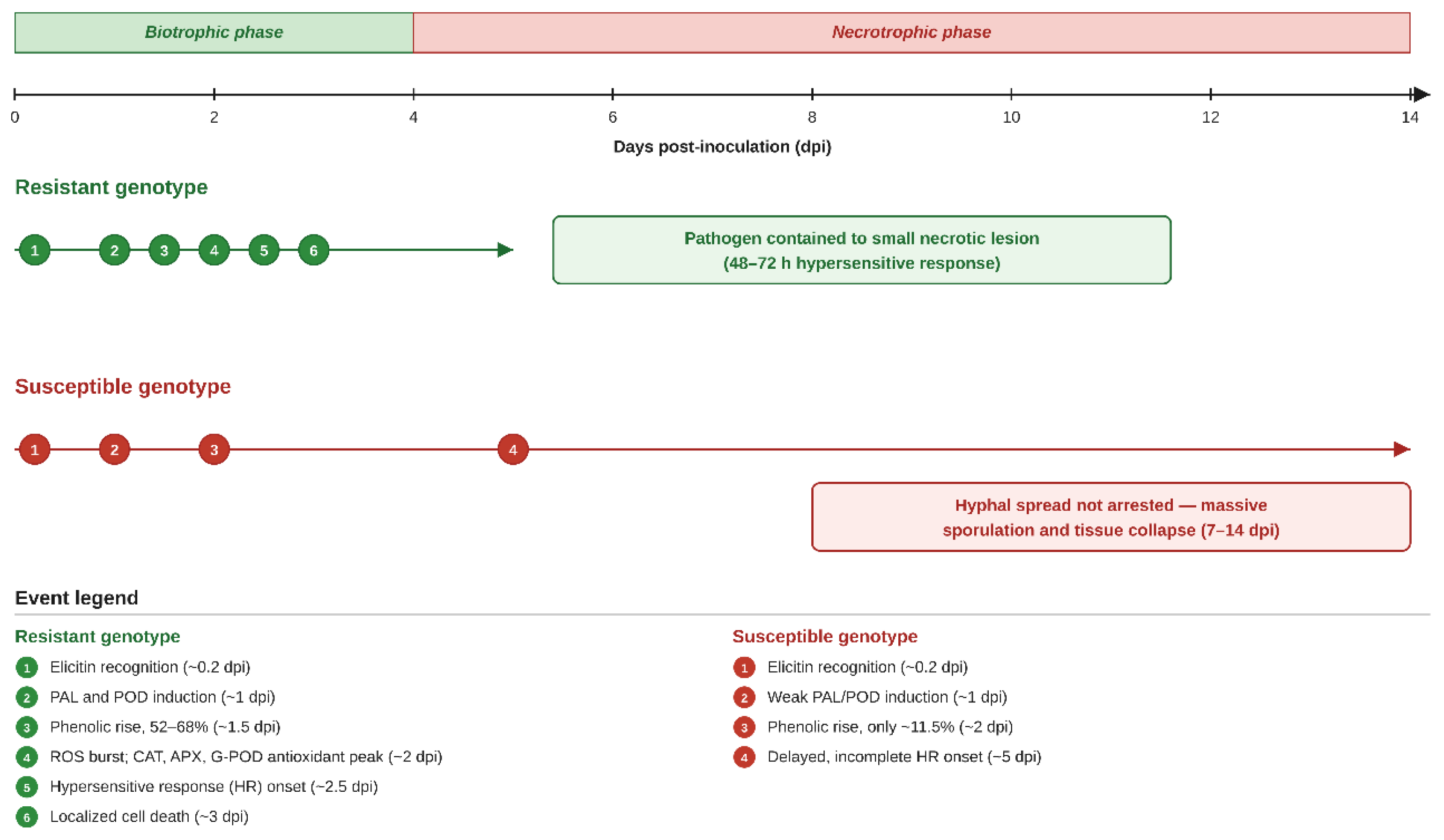 Preprints 234144 g006