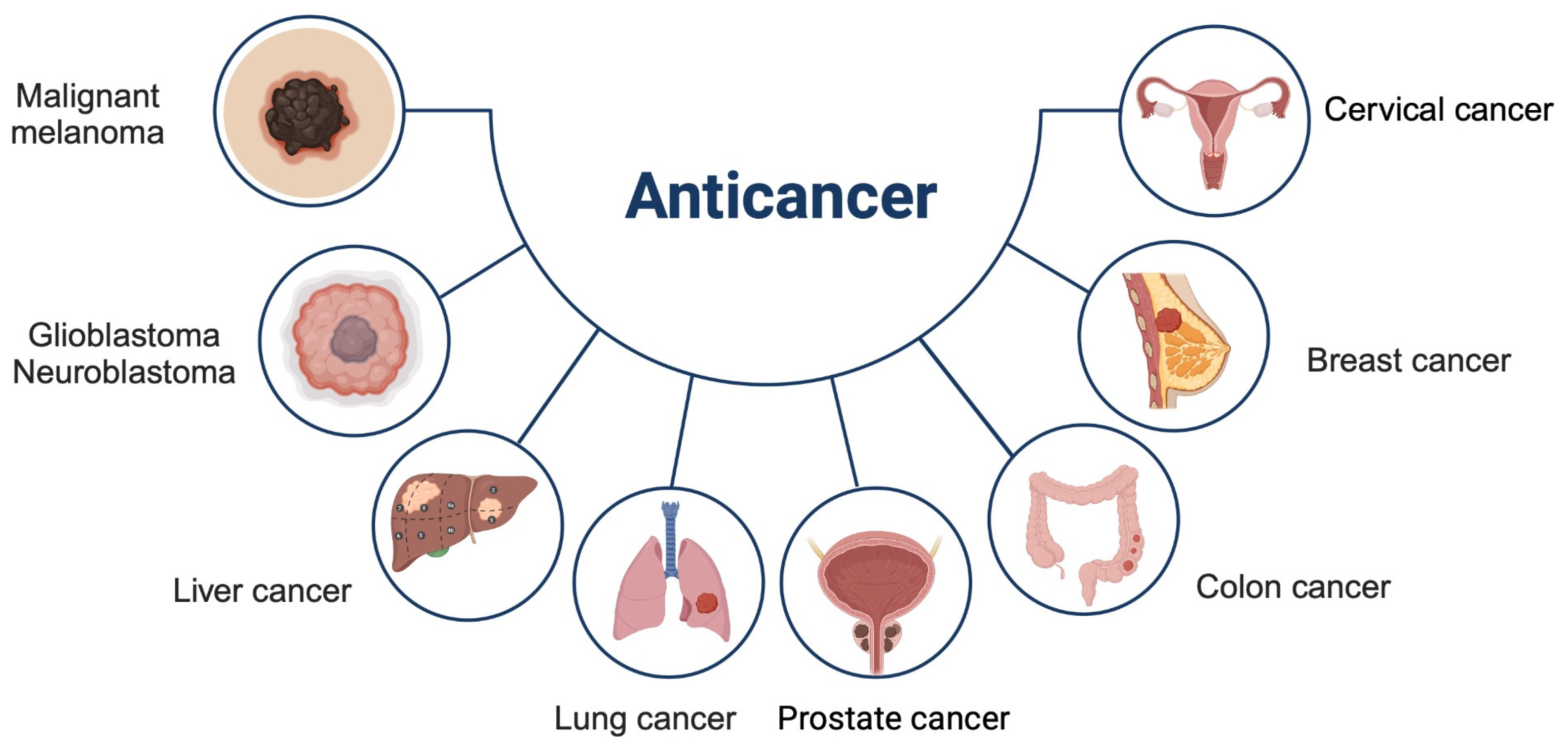 Preprints 155528 g003