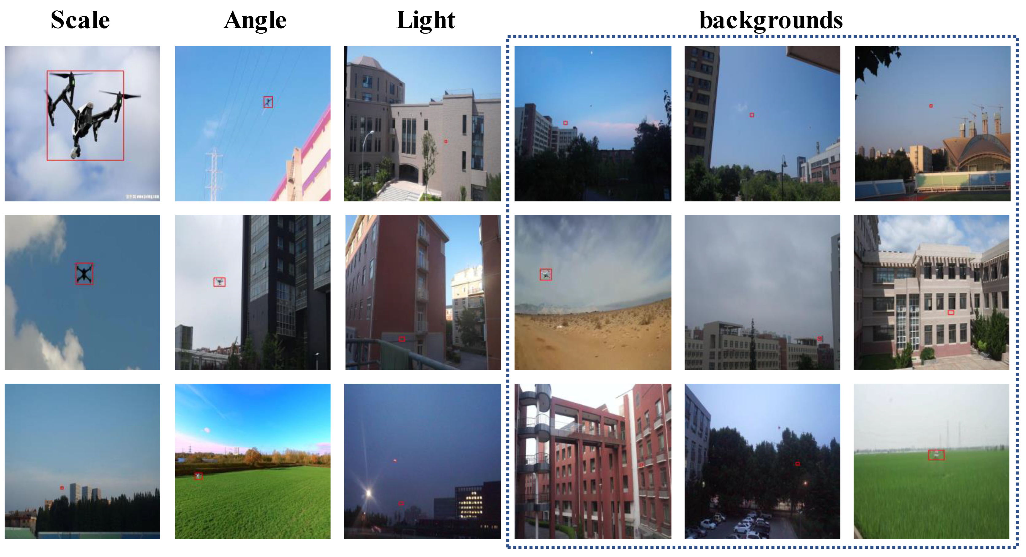 Preprints 146524 g007