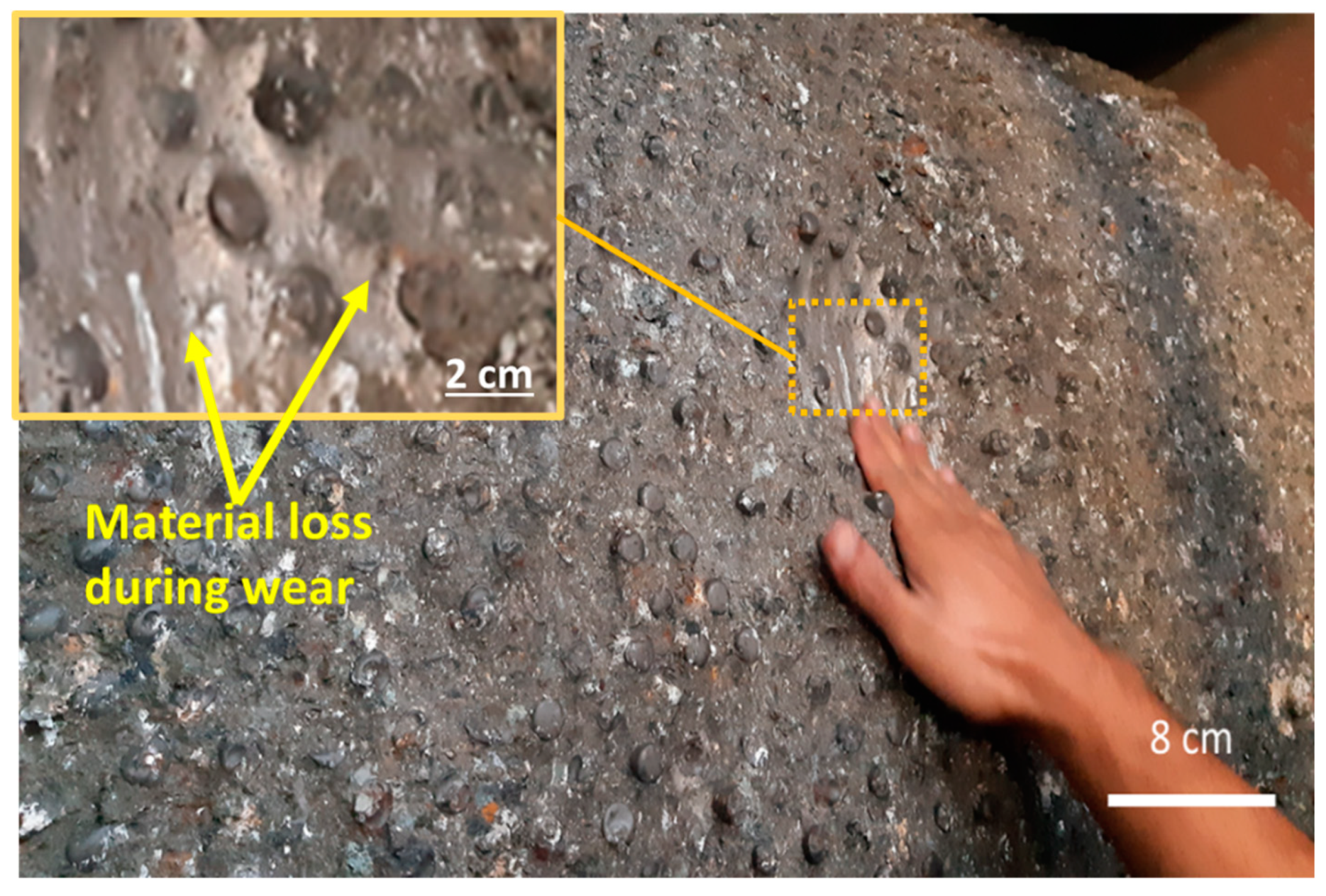 Preprints 158714 g005