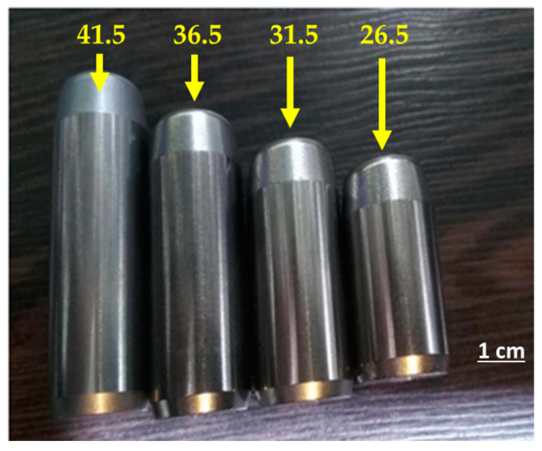 Preprints 158714 g009