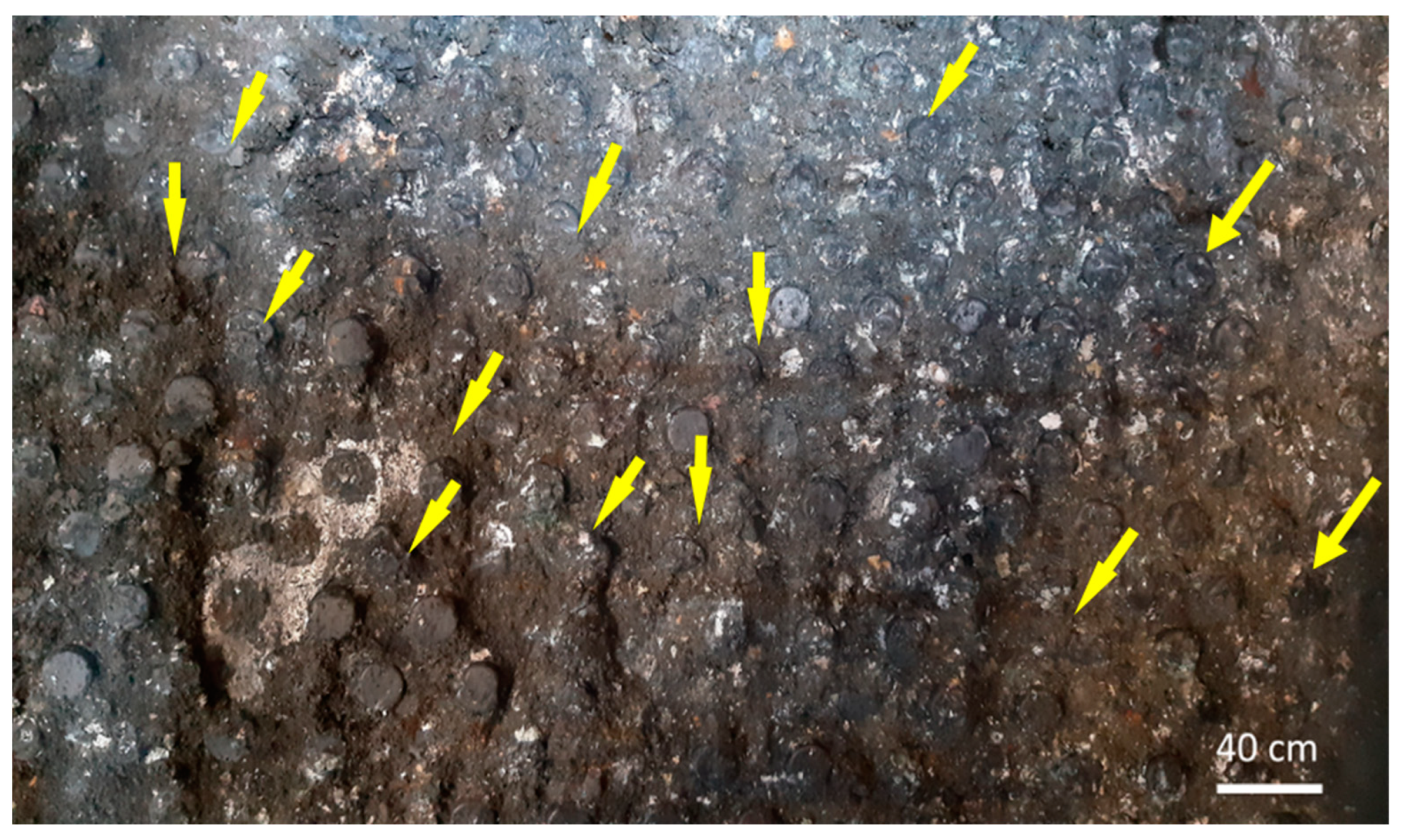 Preprints 158714 g010