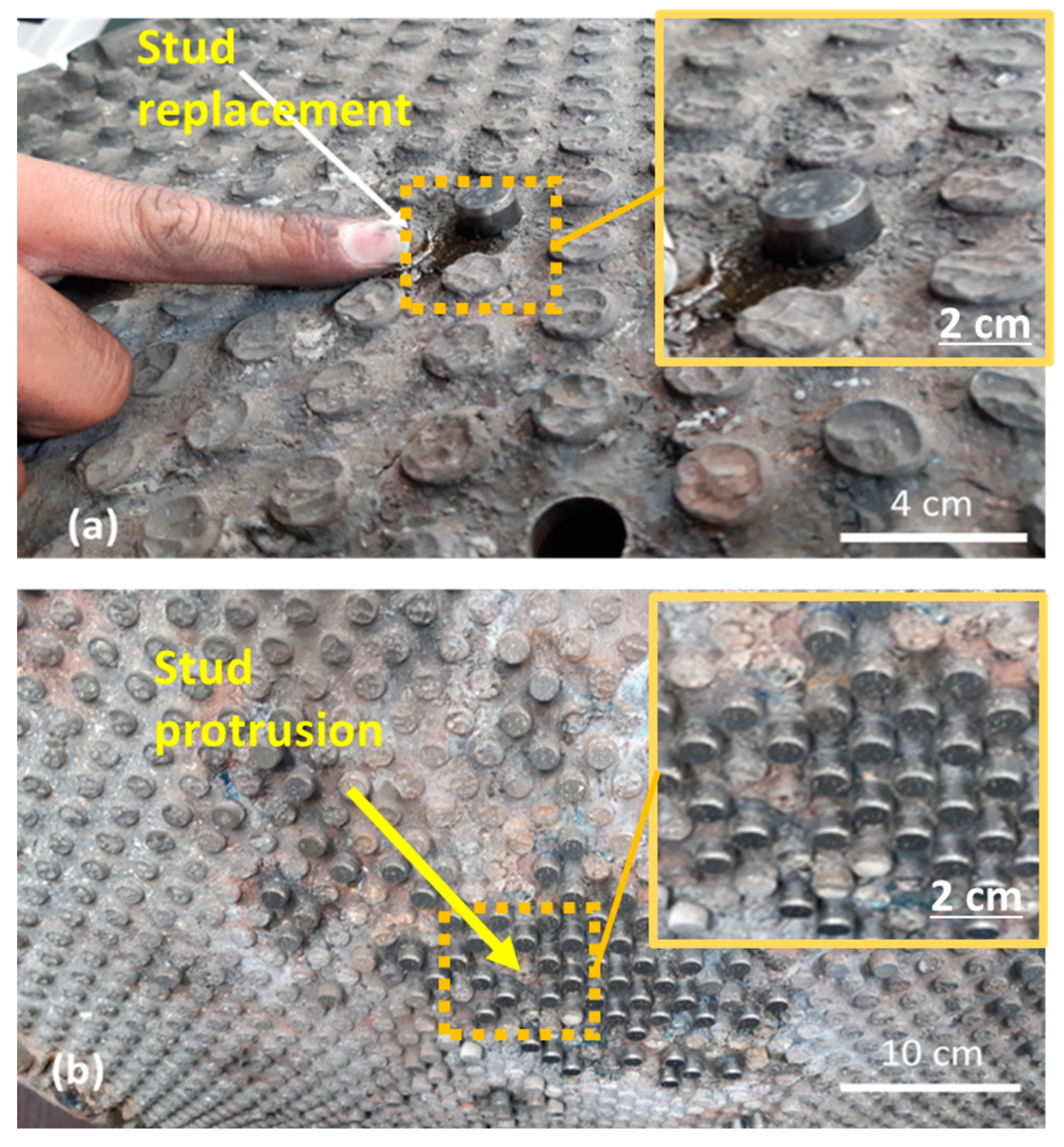 Preprints 158714 g011
