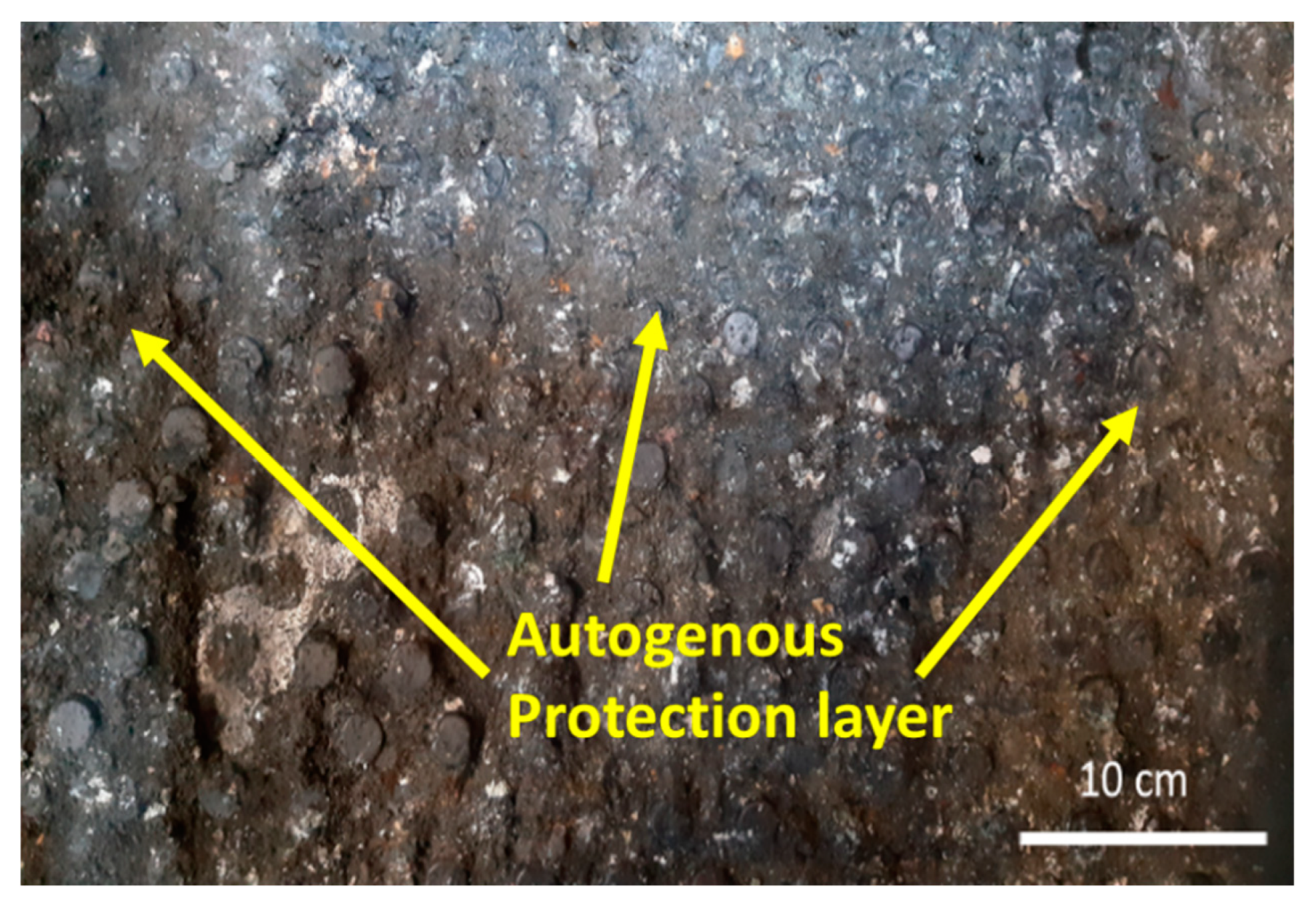 Preprints 158714 g012