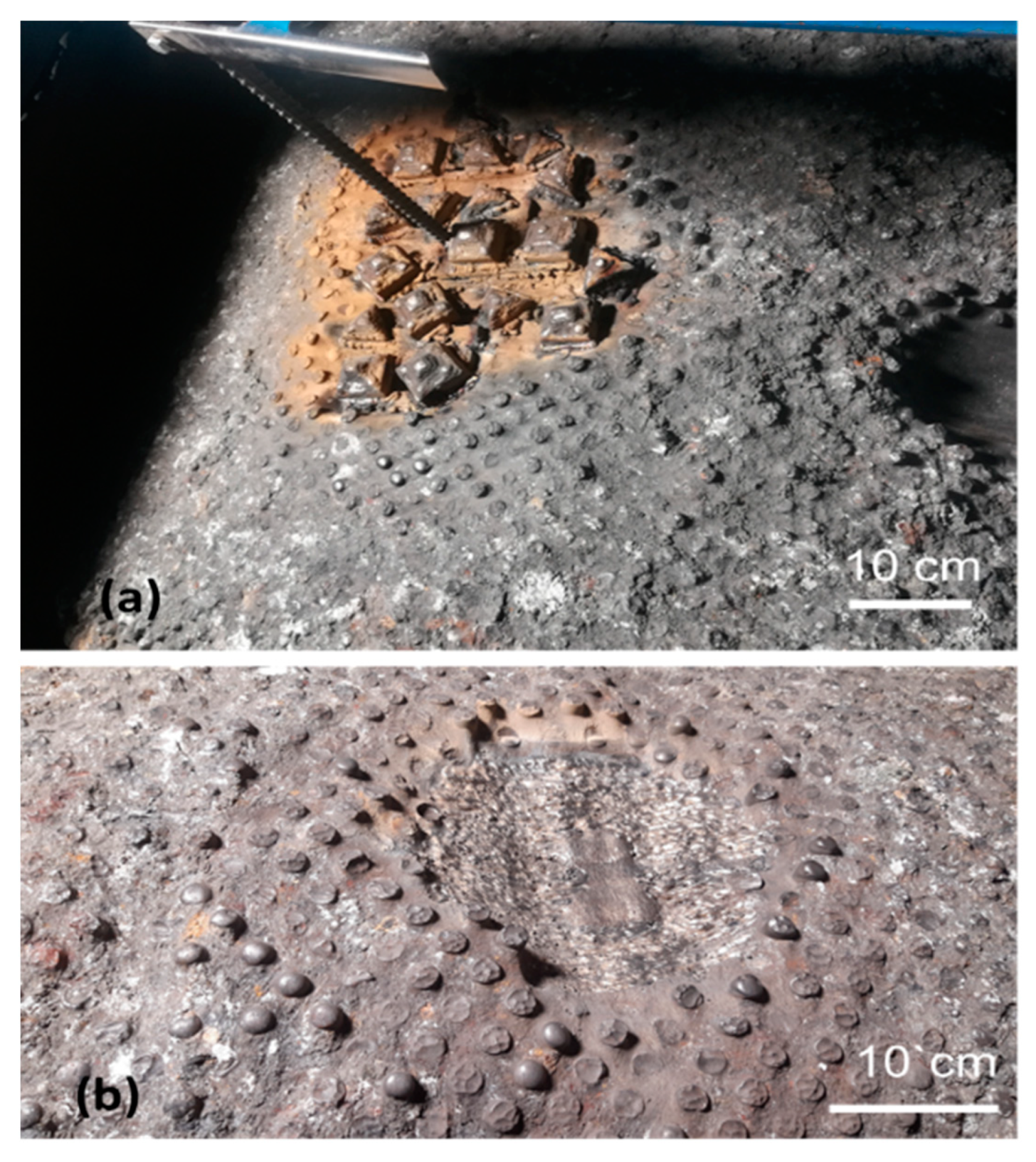 Preprints 158714 g016