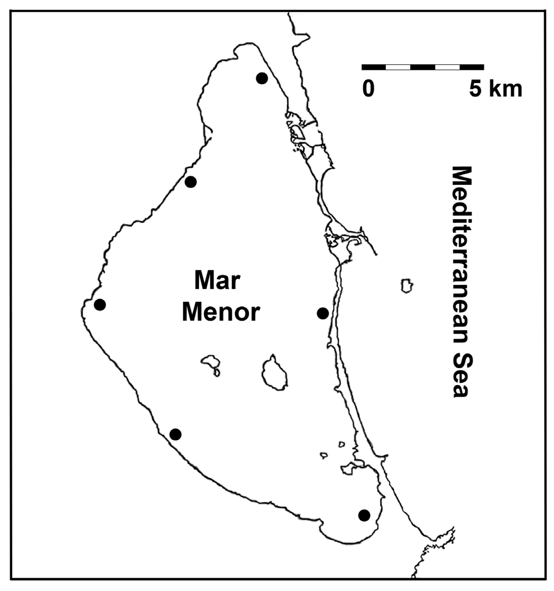 Preprints 152915 g001
