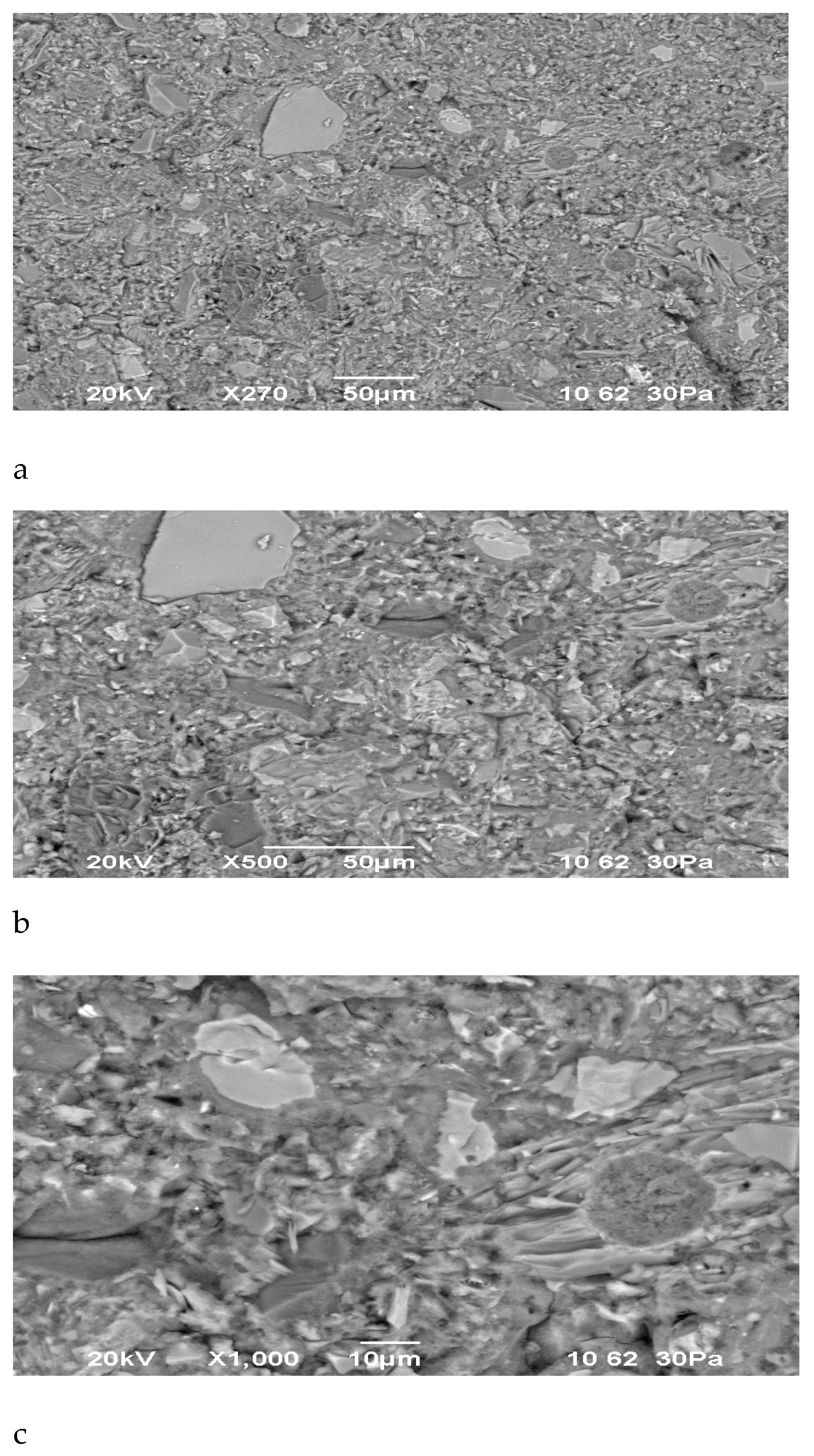 Preprints 156637 g019