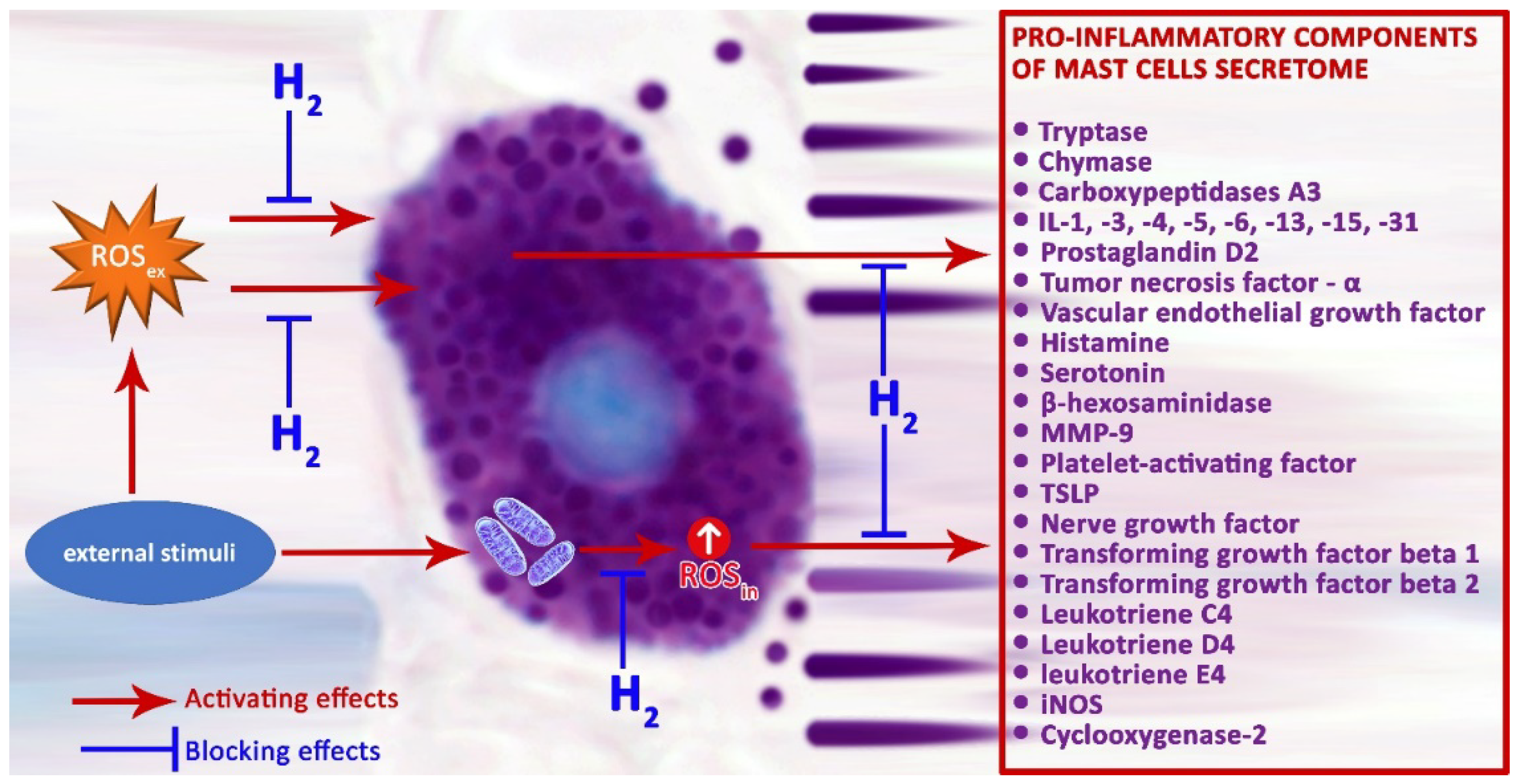 Preprints 72319 g002