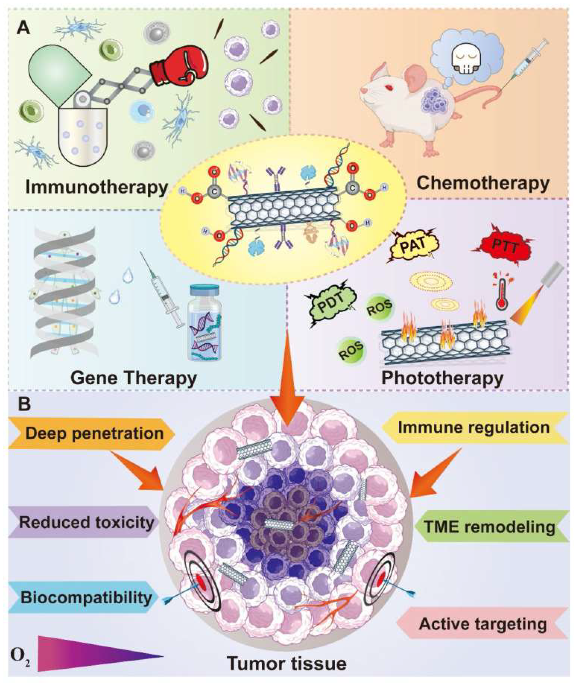 Preprints 161569 g005