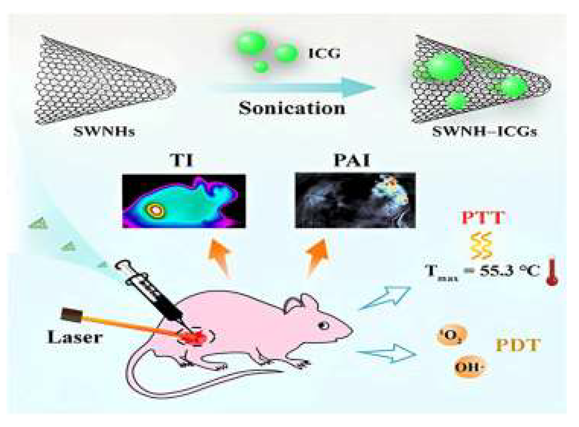 Preprints 161569 g006