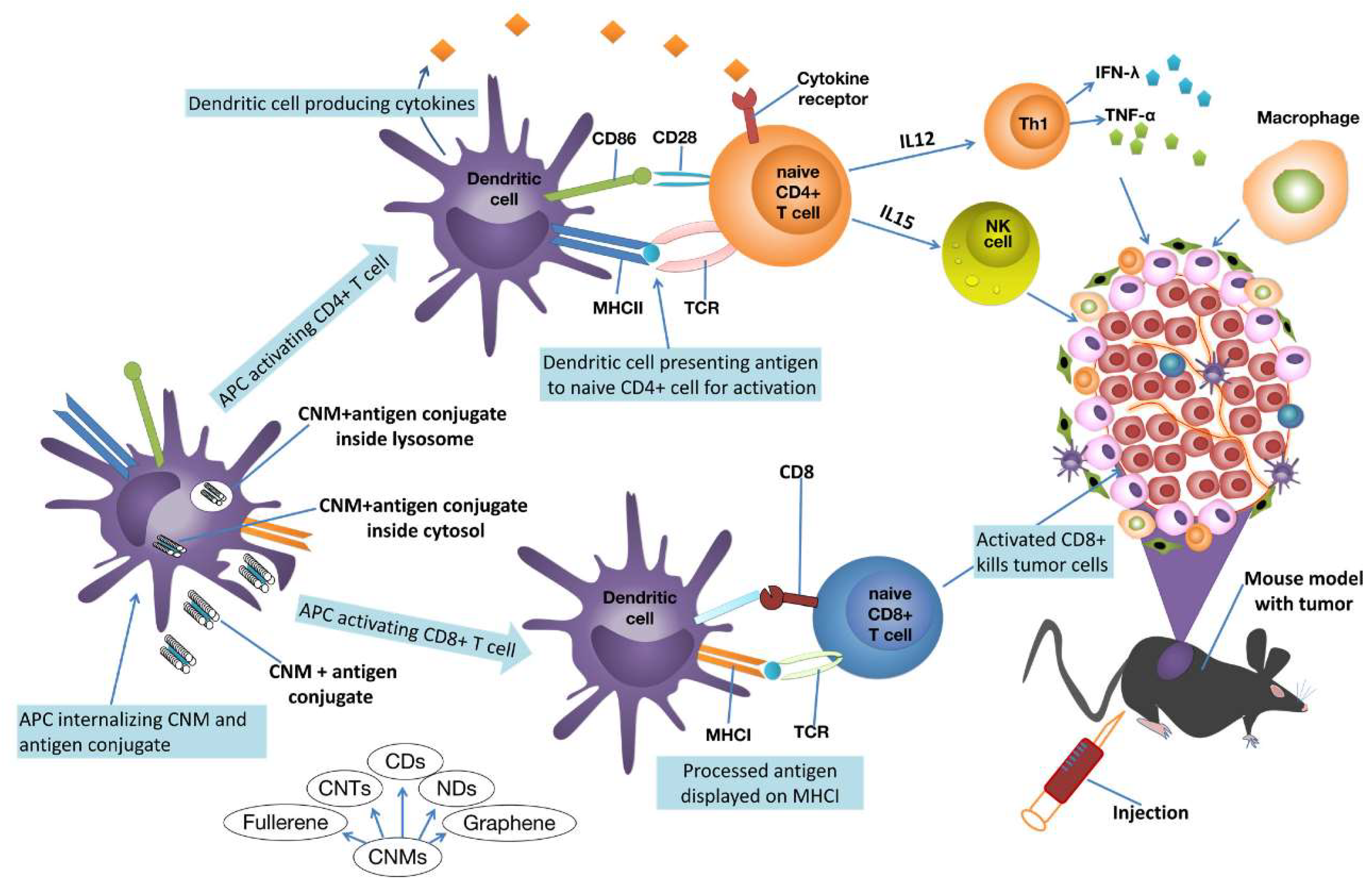 Preprints 161569 g007