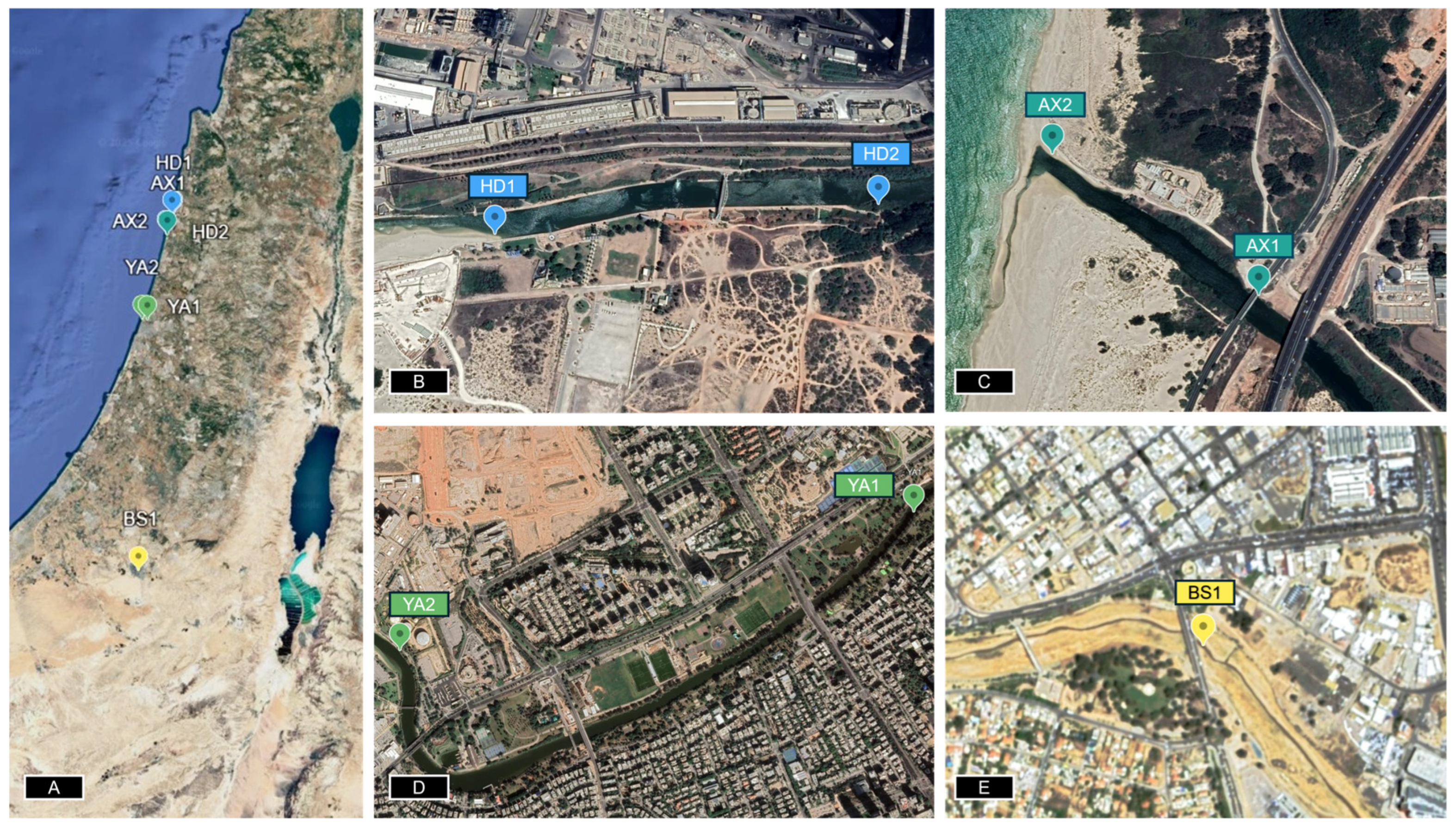 Preprints 157458 g001