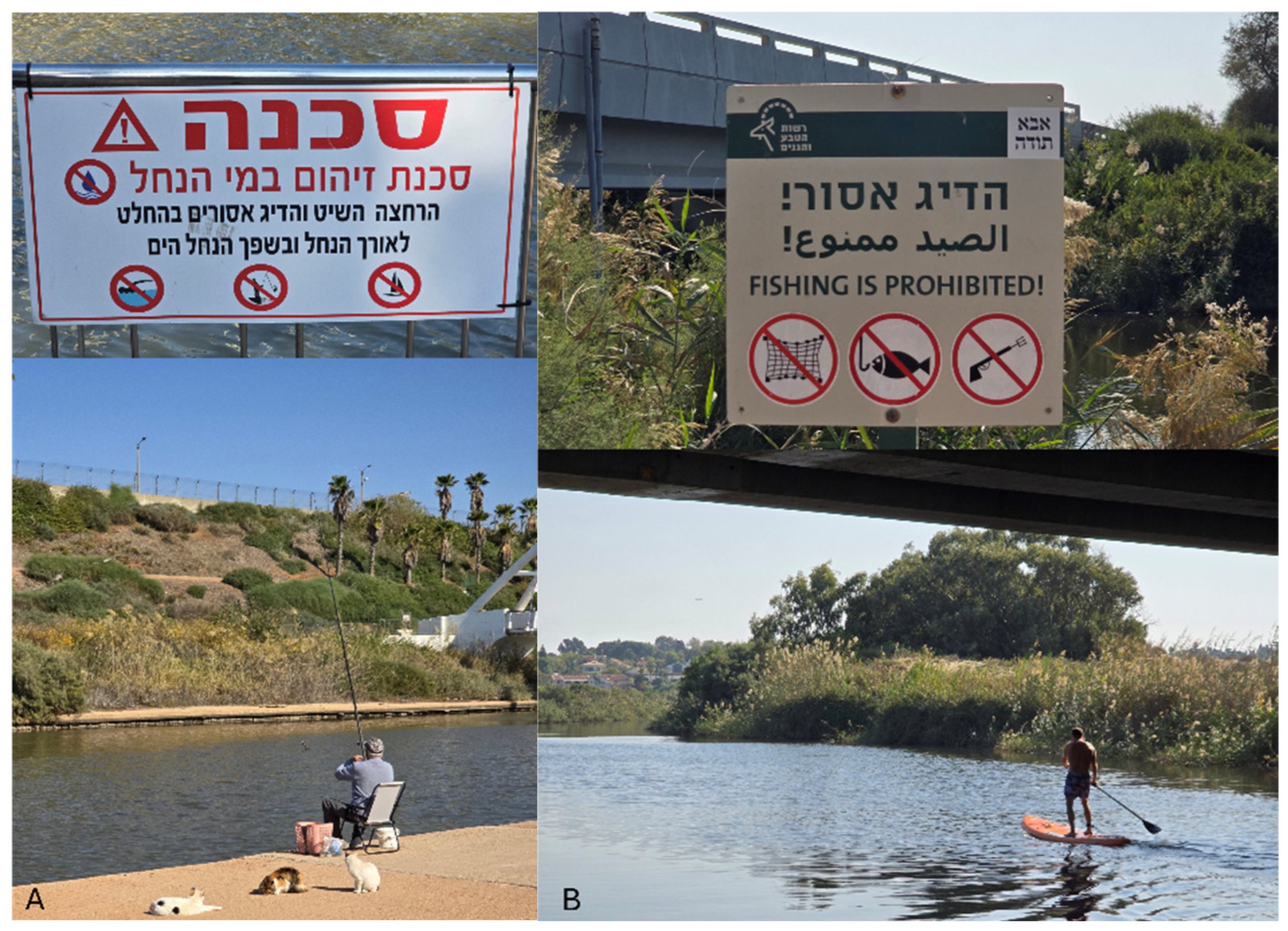 Preprints 157458 g002