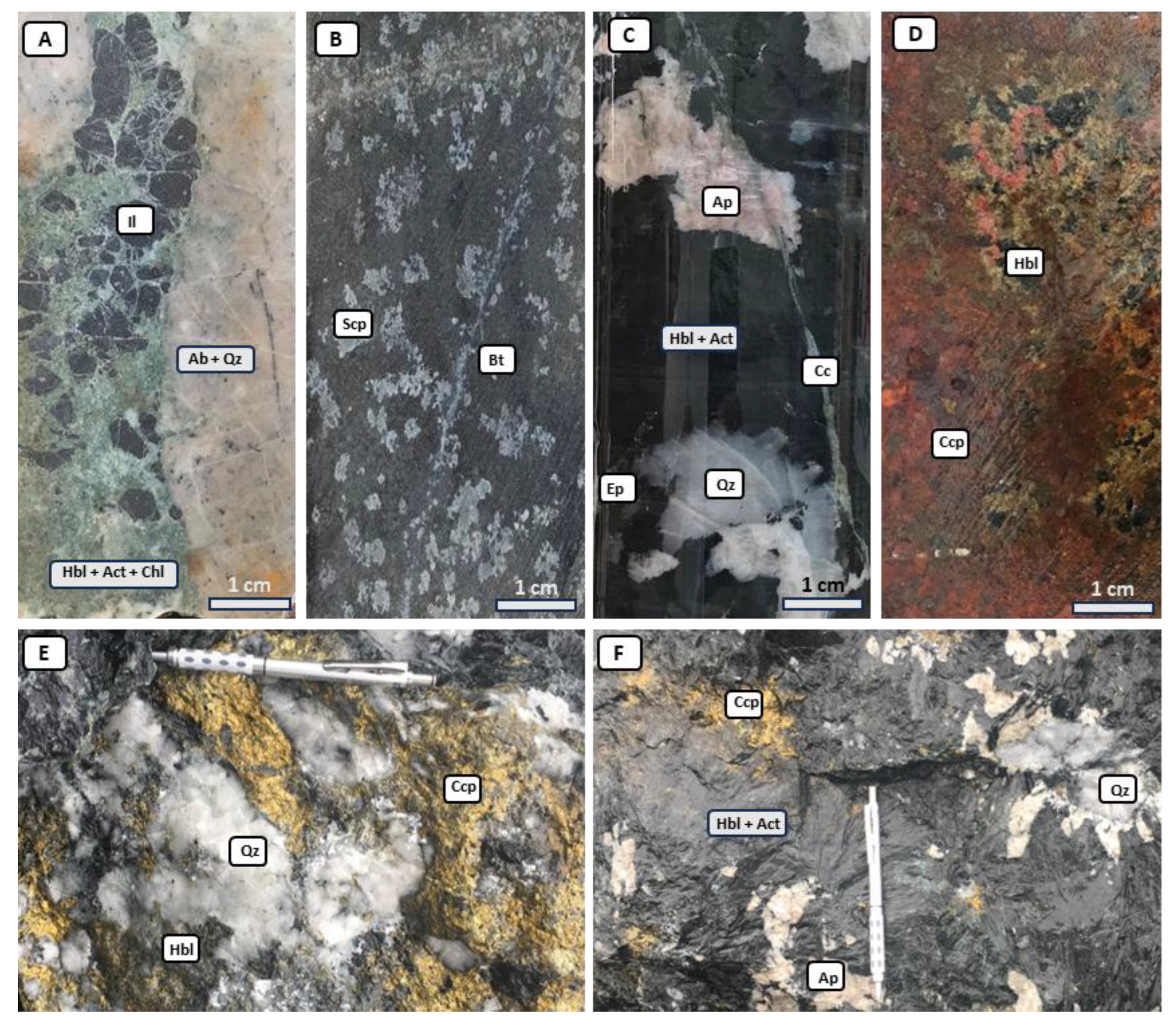 Preprints 173629 g005
