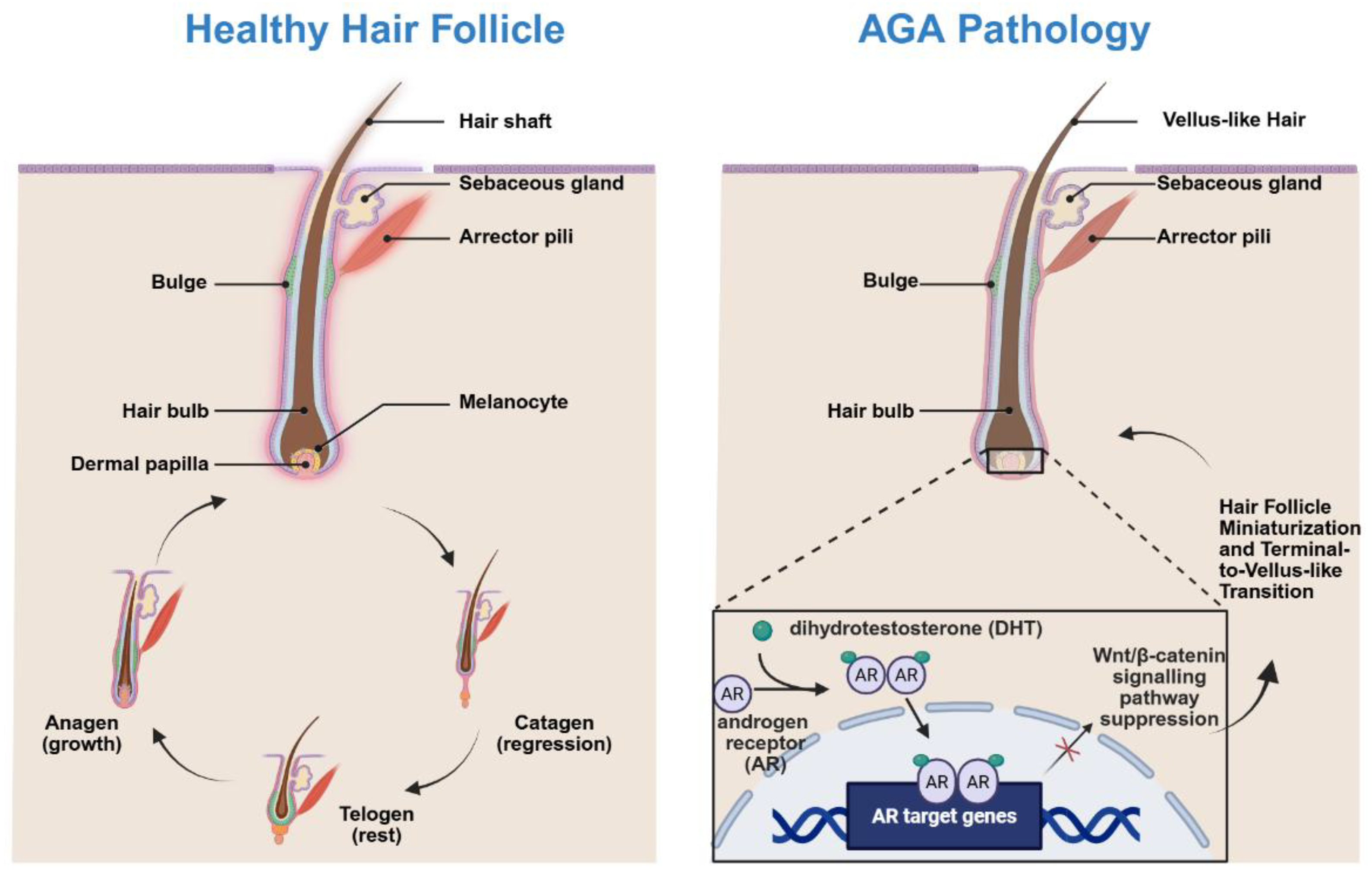 Preprints 194955 g001