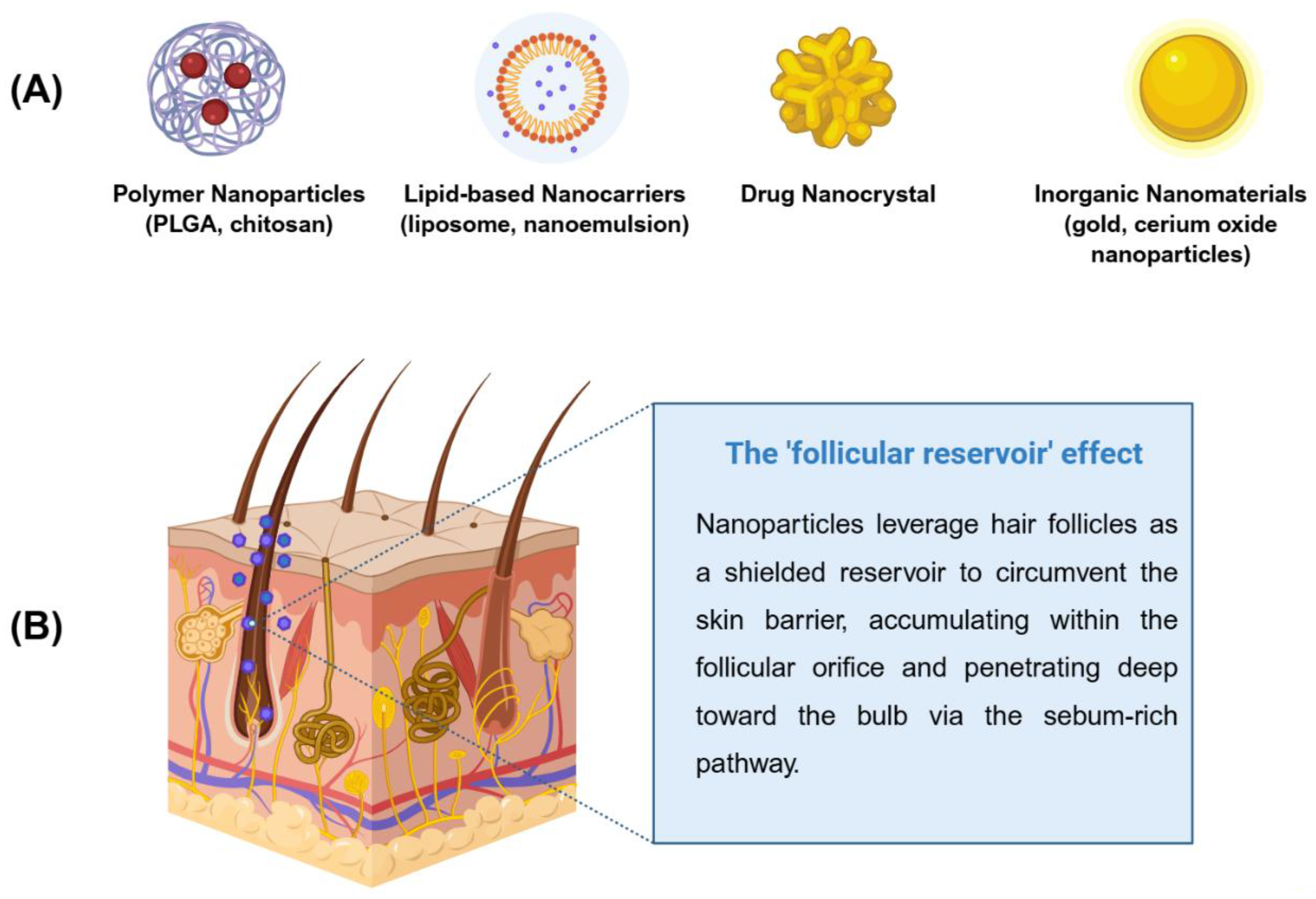 Preprints 194955 g002