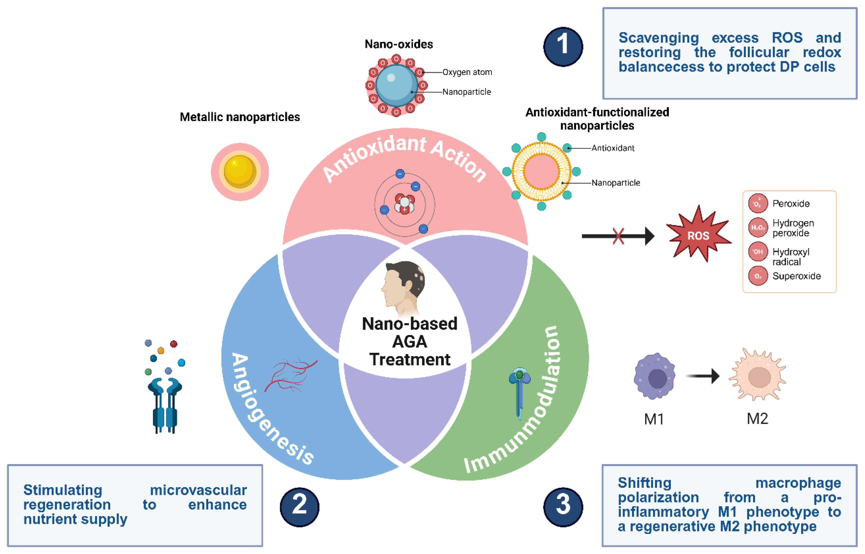 Preprints 194955 g003