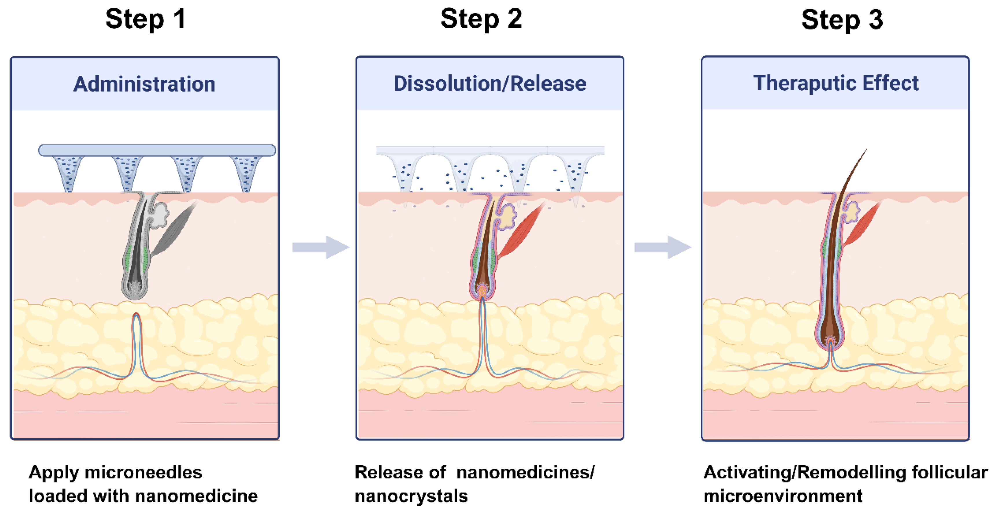 Preprints 194955 g004