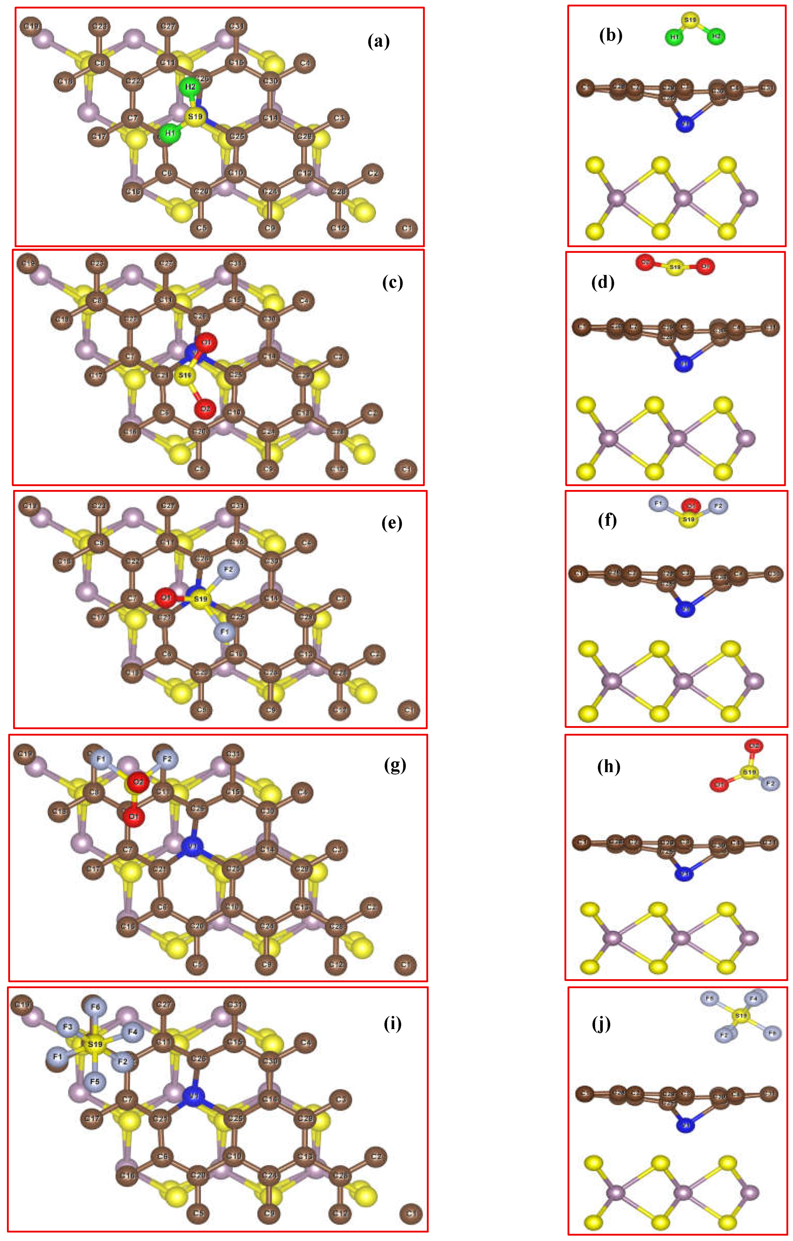 Preprints 199131 g005