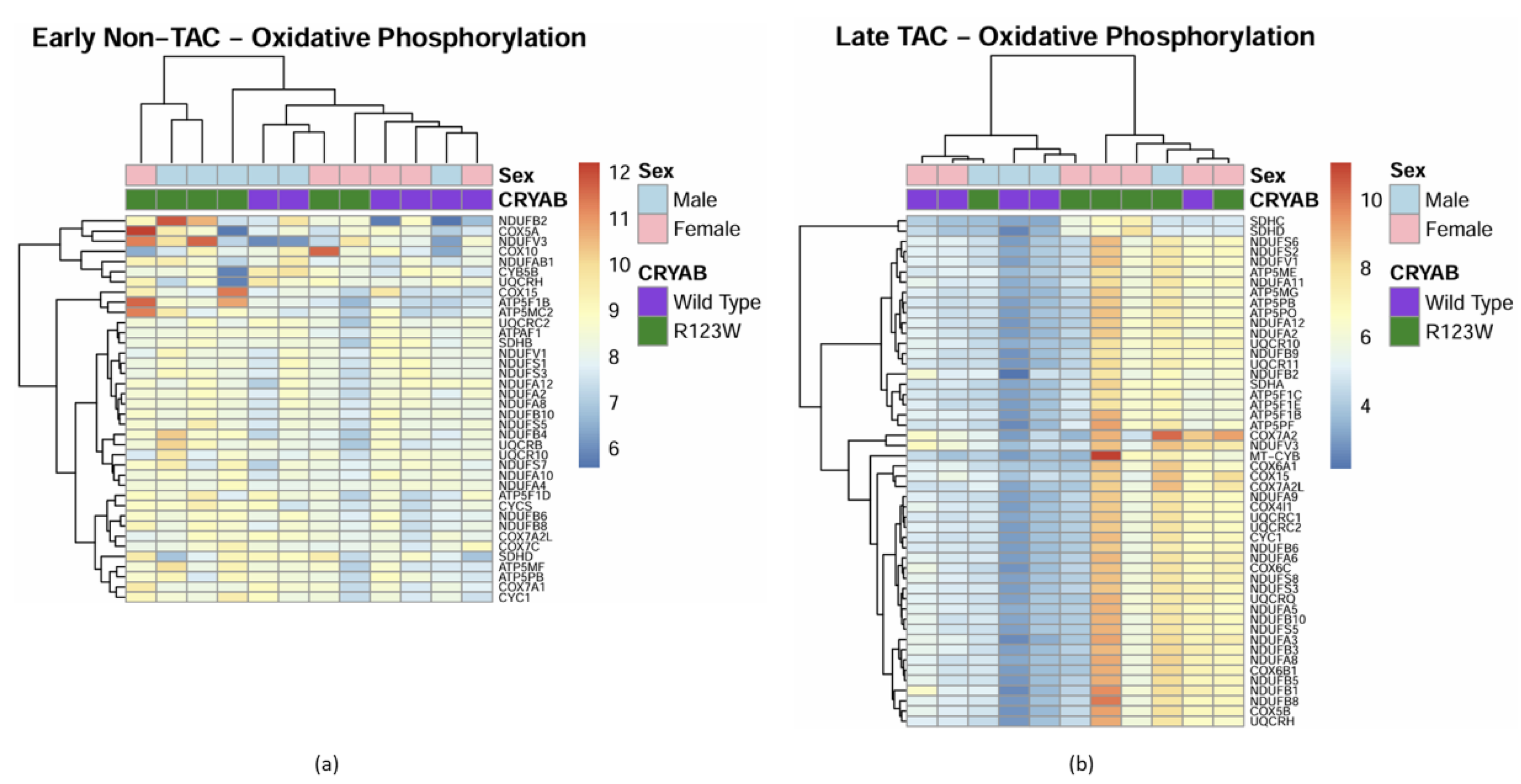 Preprints 149826 g009