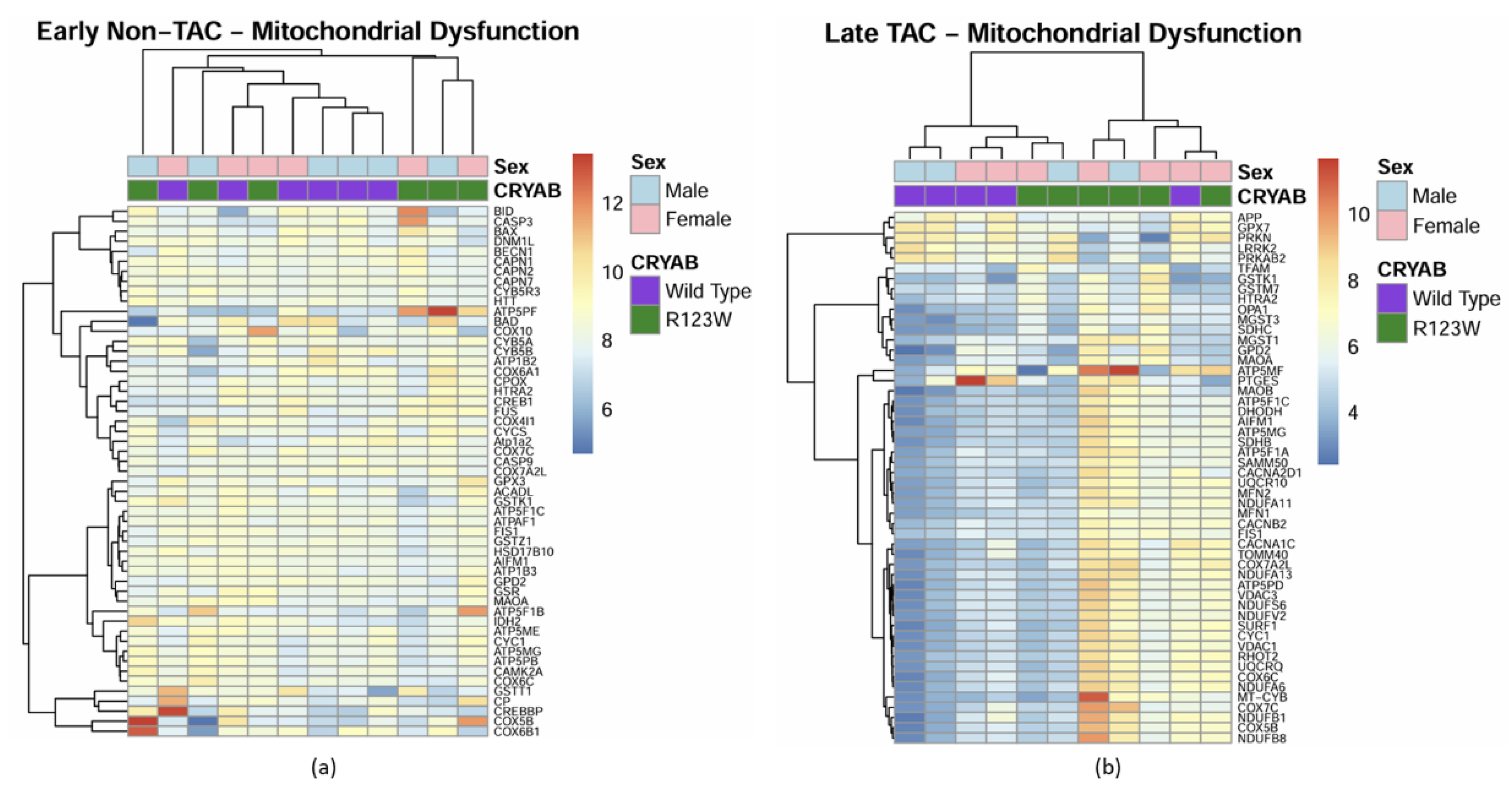 Preprints 149826 g010