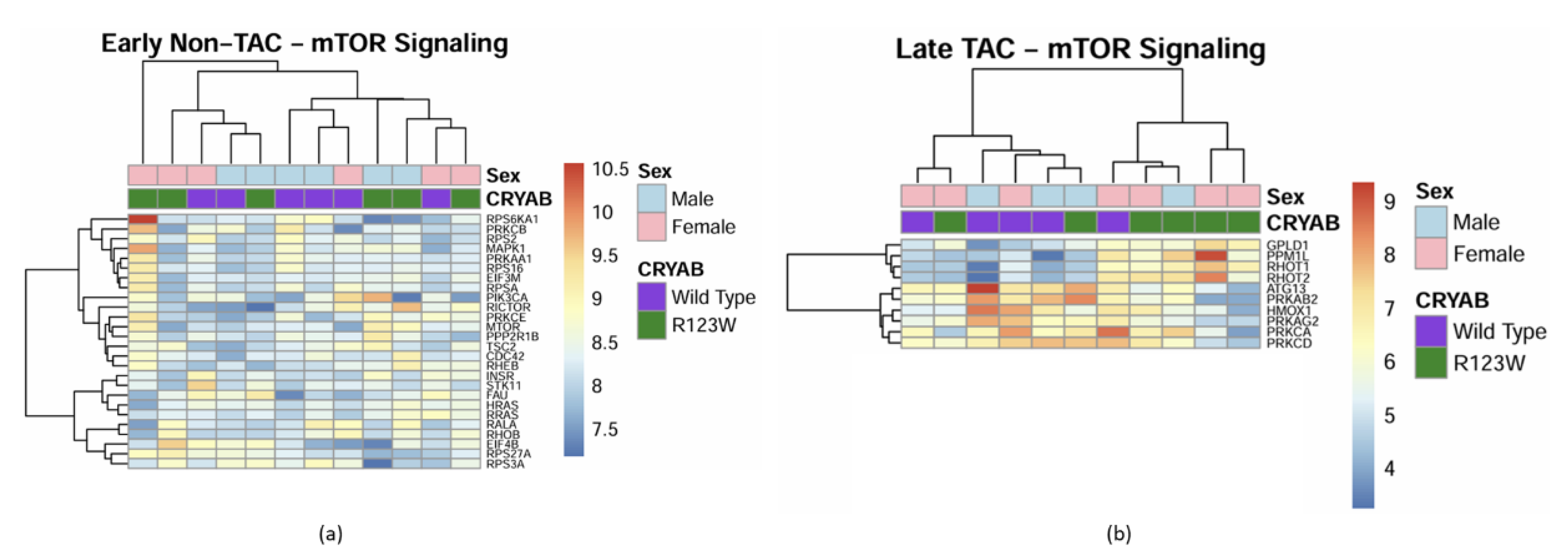 Preprints 149826 g011