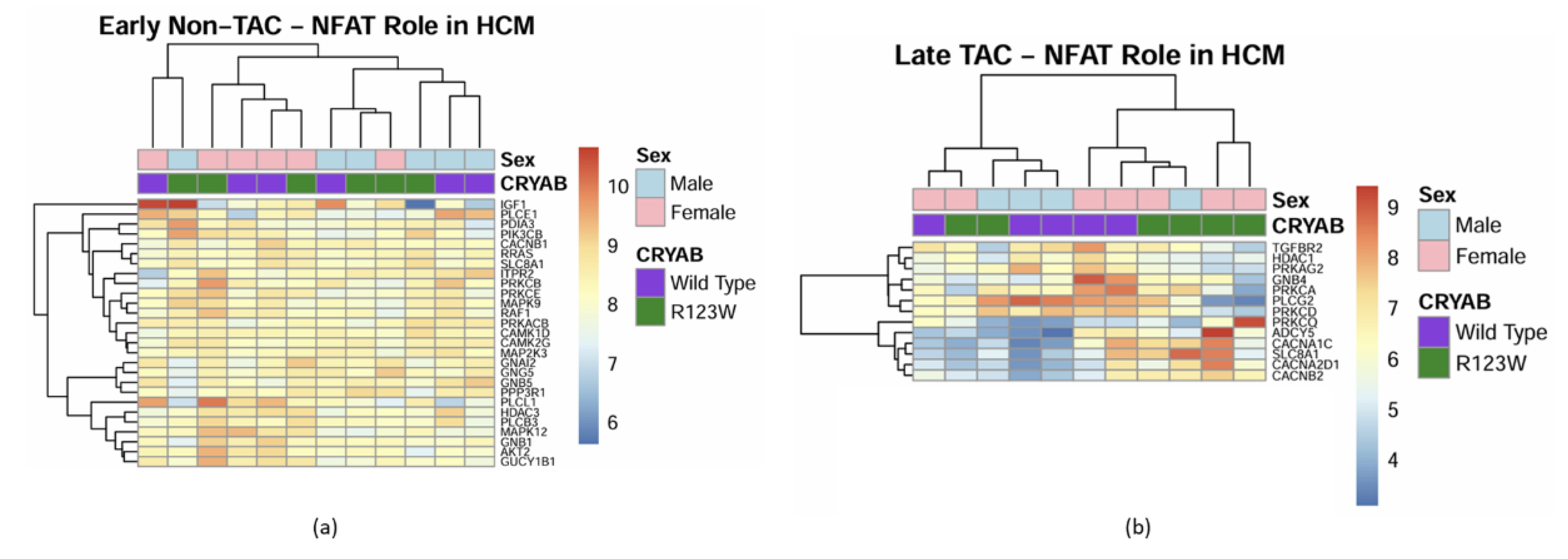 Preprints 149826 g012