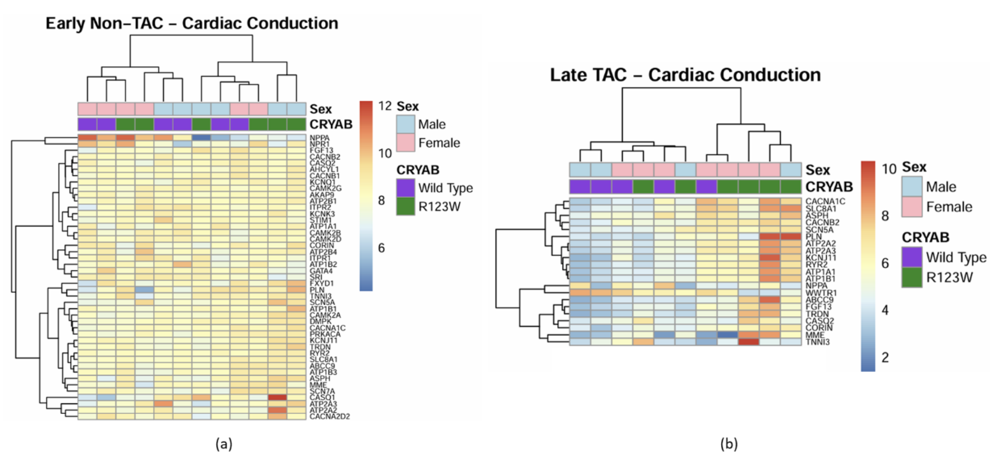 Preprints 149826 g013