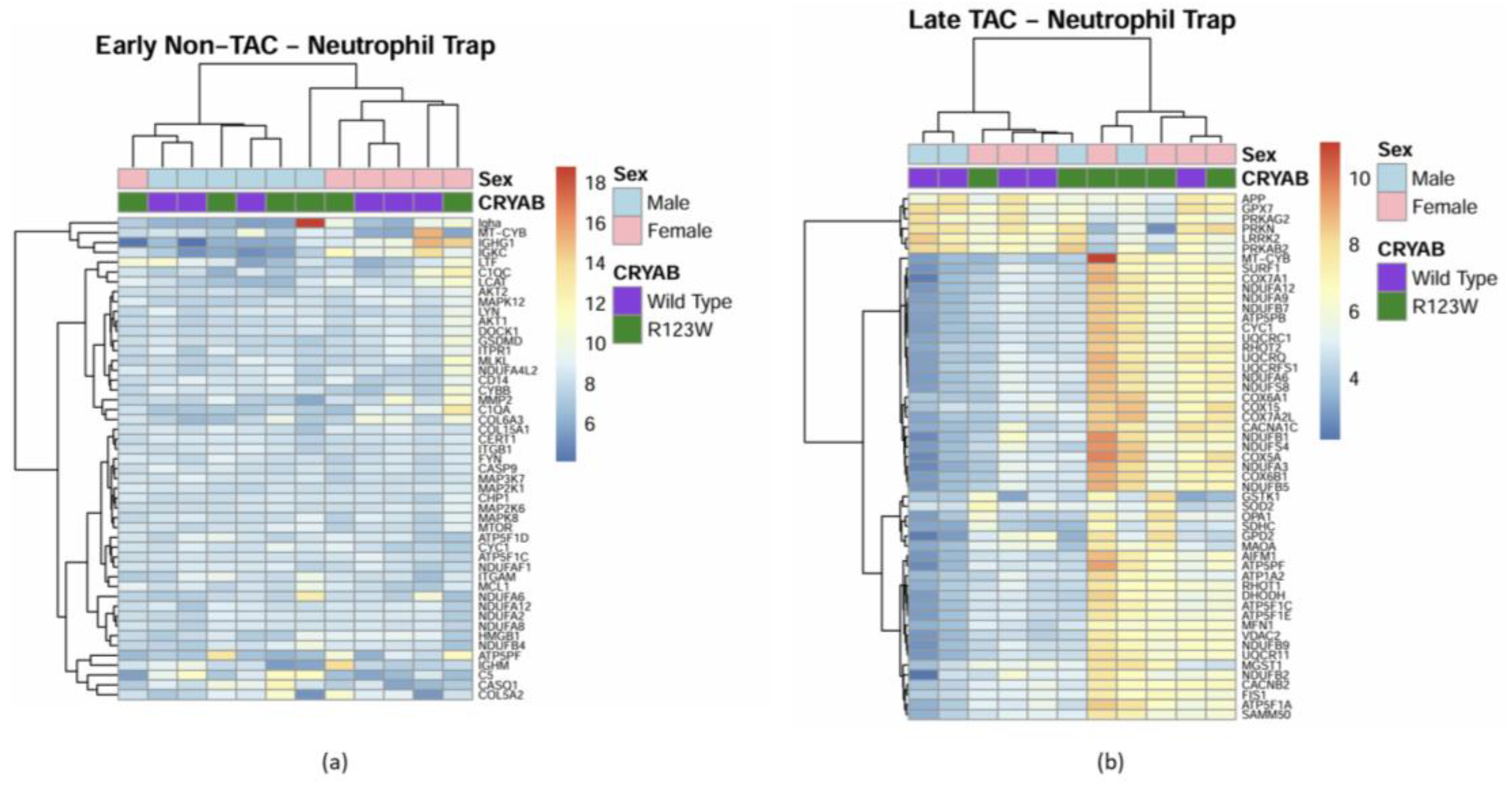 Preprints 149826 g015