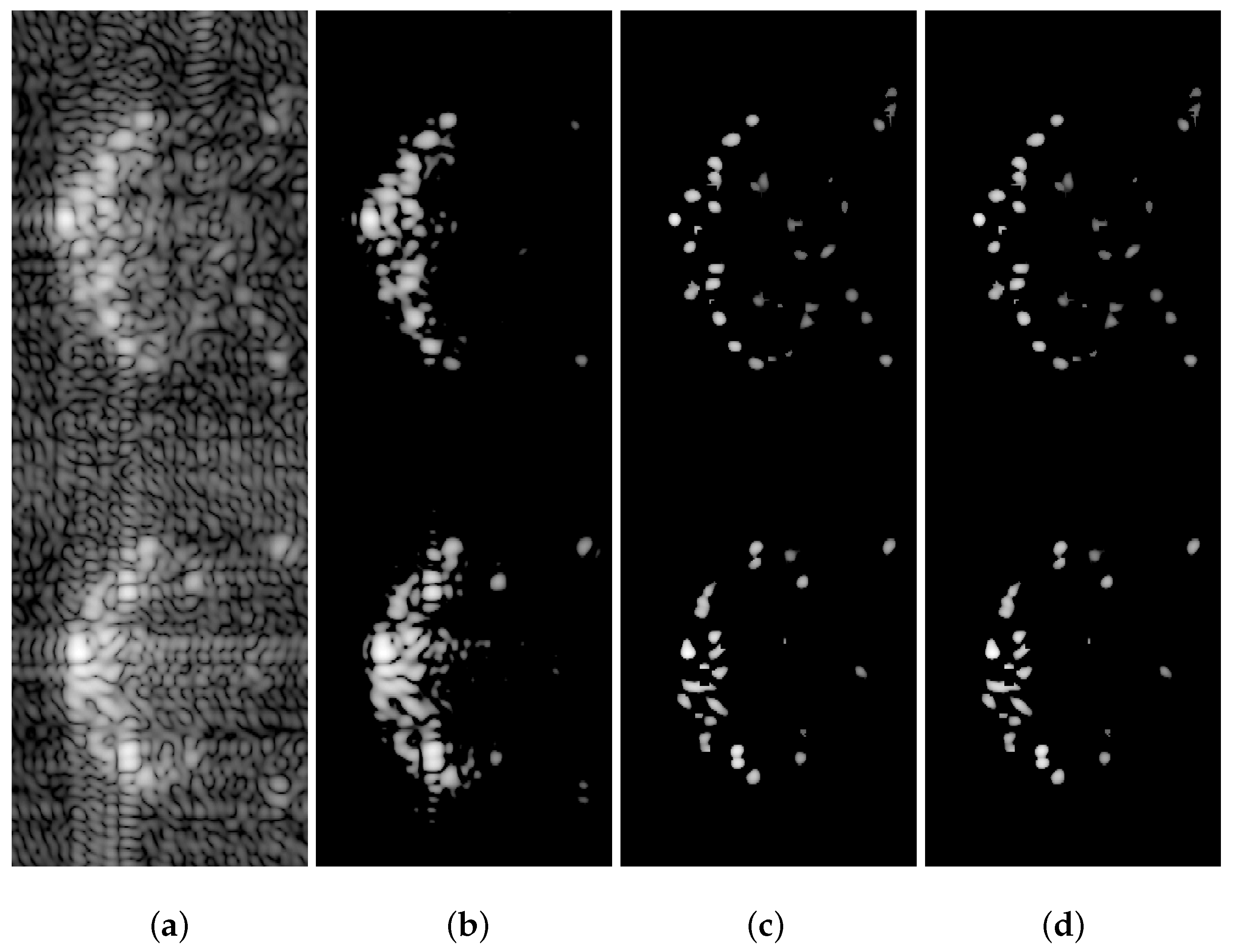 Preprints 151152 g016