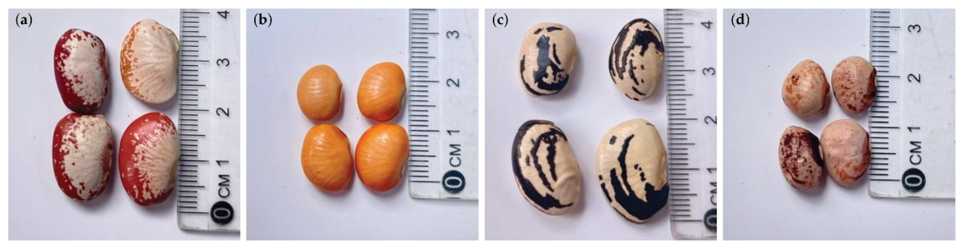 Preprints 184507 g008