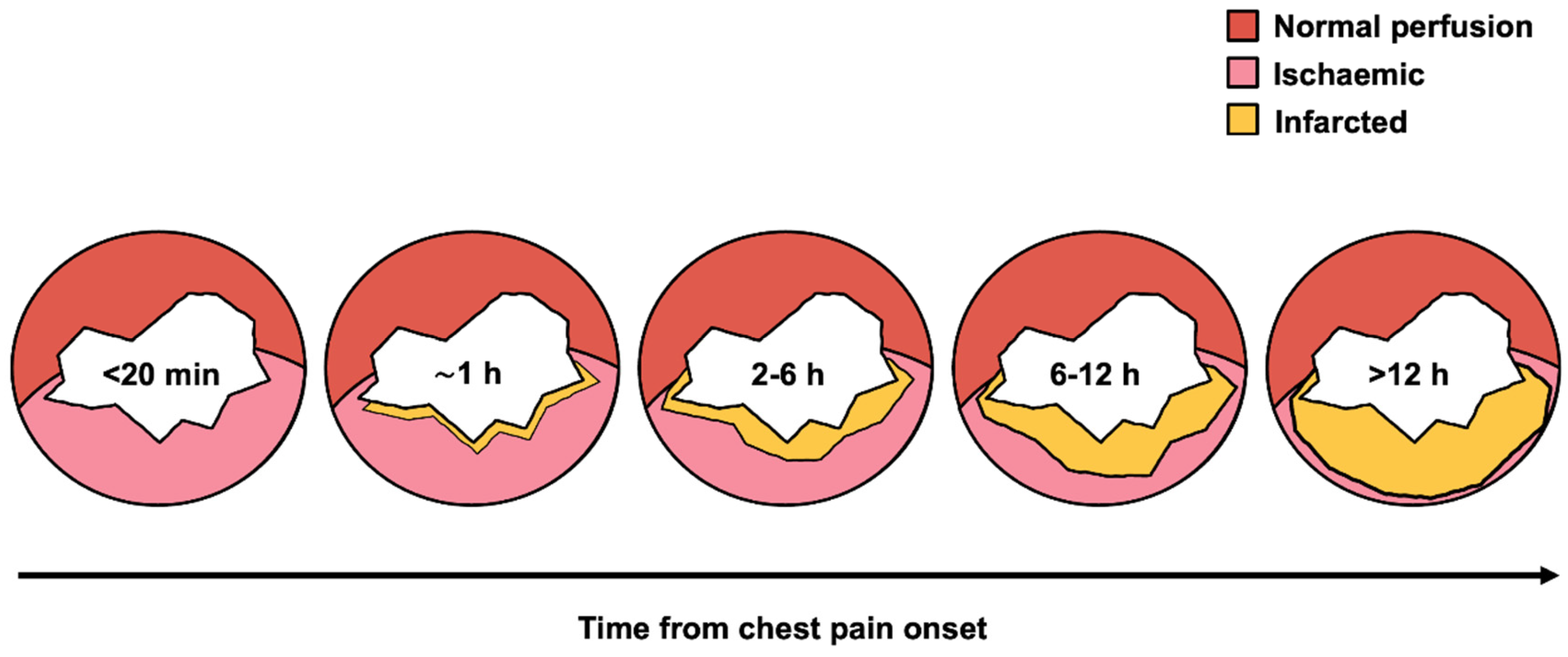 Preprints 175590 g001