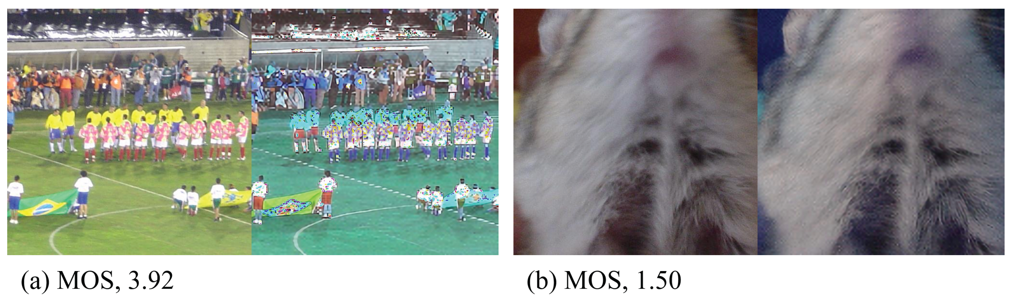 Preprints 166904 g001